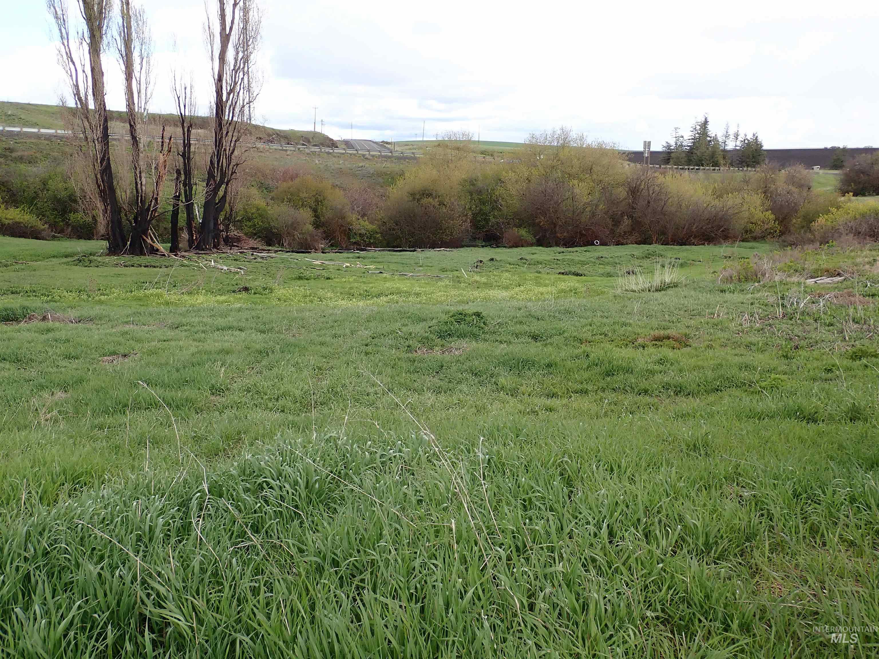 51 Emerson Rd, Uniontown, Washington 99179, Land For Sale, Price $420,000, 98909418