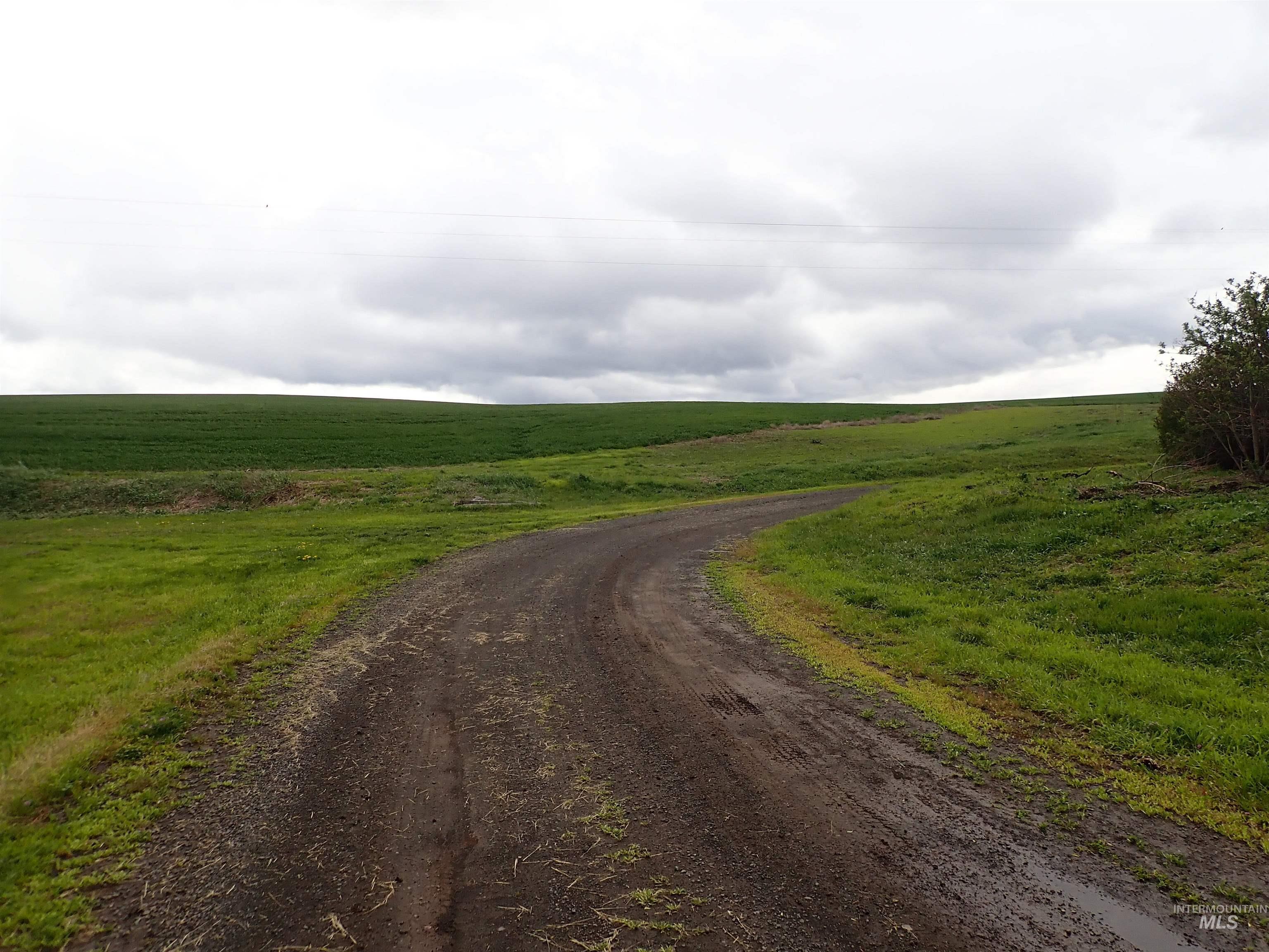 51 Emerson Rd, Uniontown, Washington 99179, Land For Sale, Price $420,000, 98909418