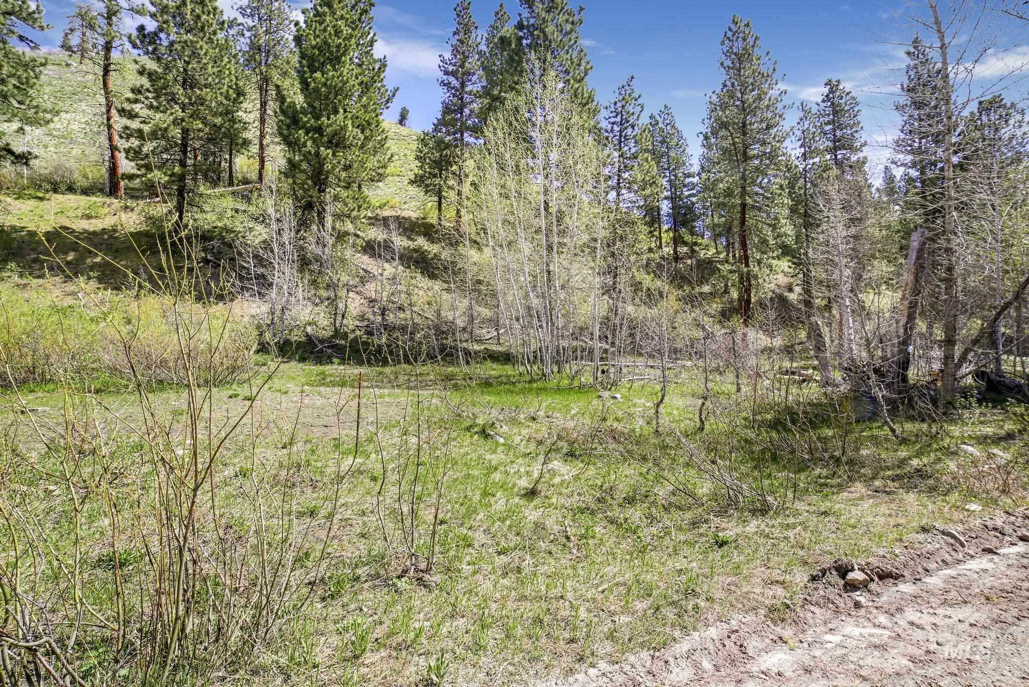 TBD Trinity Creek RD, Featherville, Idaho 83647, Land For Sale, Price $375,000,MLS 98909426