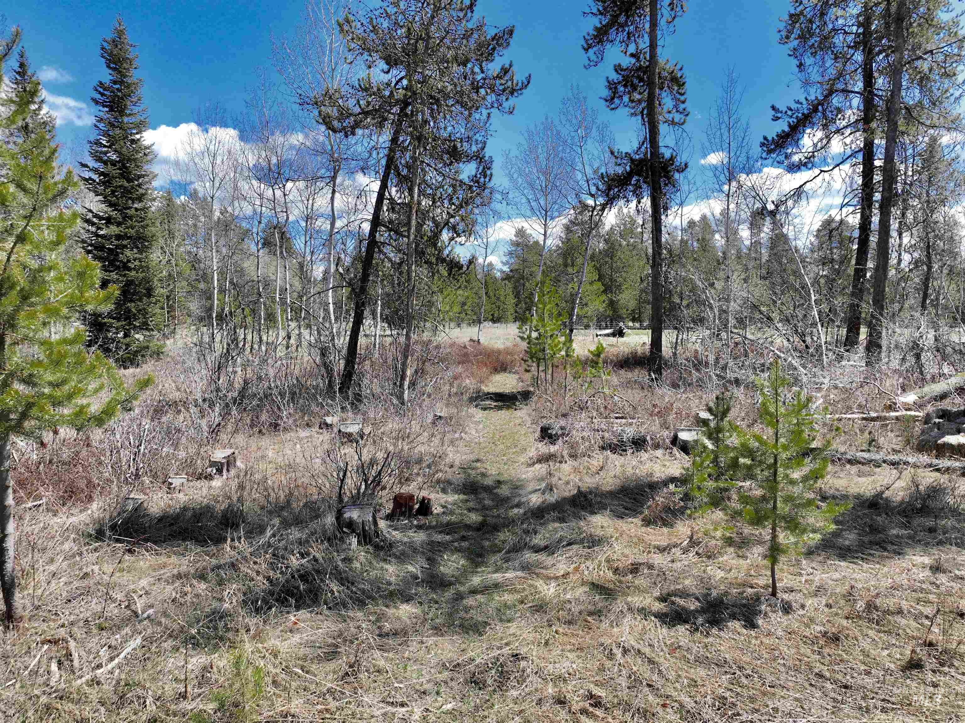 897 W Roseberry, Donnelly, Idaho 83615, Land For Sale, Price $275,000,MLS 98909427