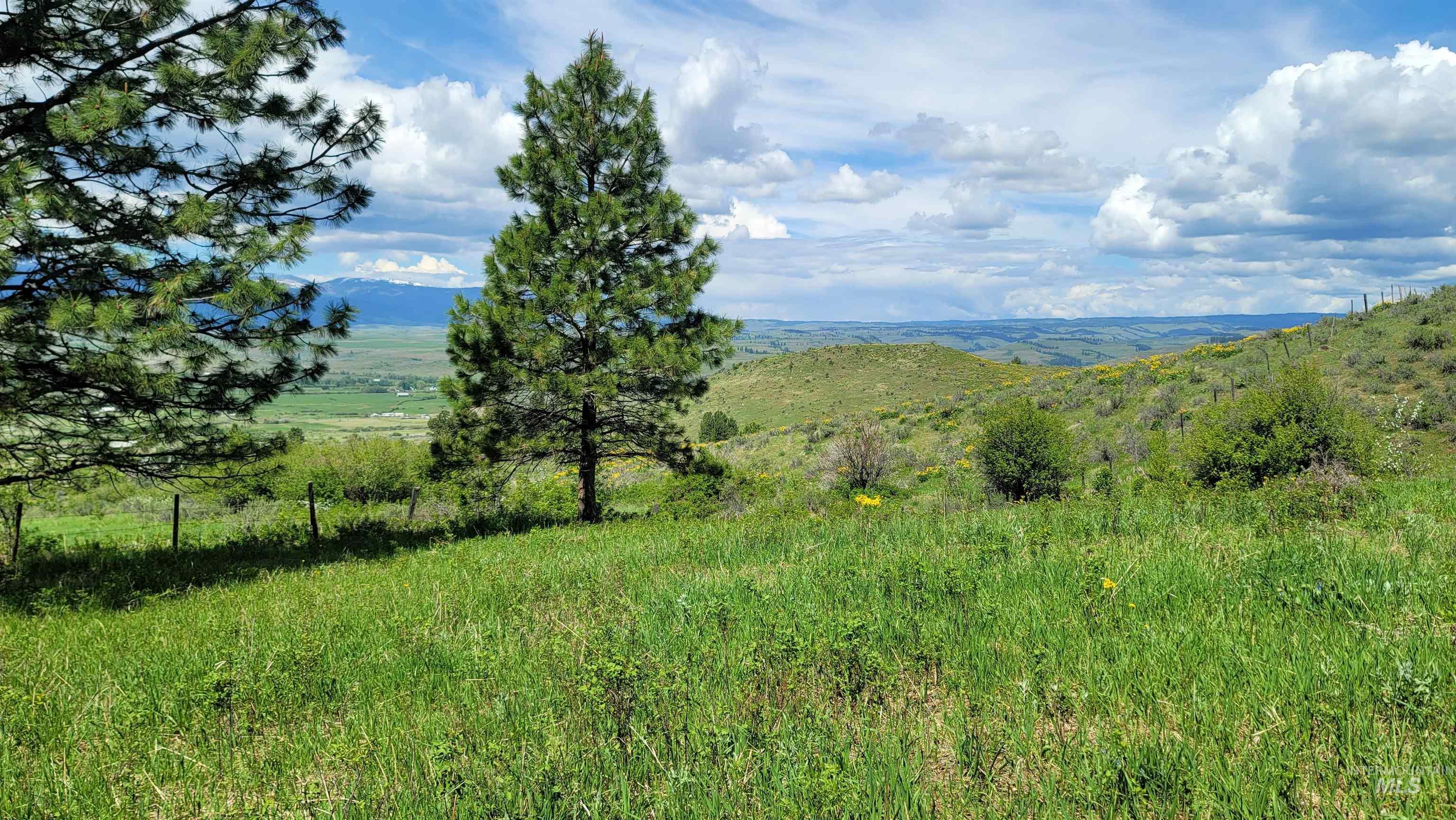 2488 Lappin Ln., Council, Idaho 83612, Land For Sale, Price $1,999,000,MLS 98909529