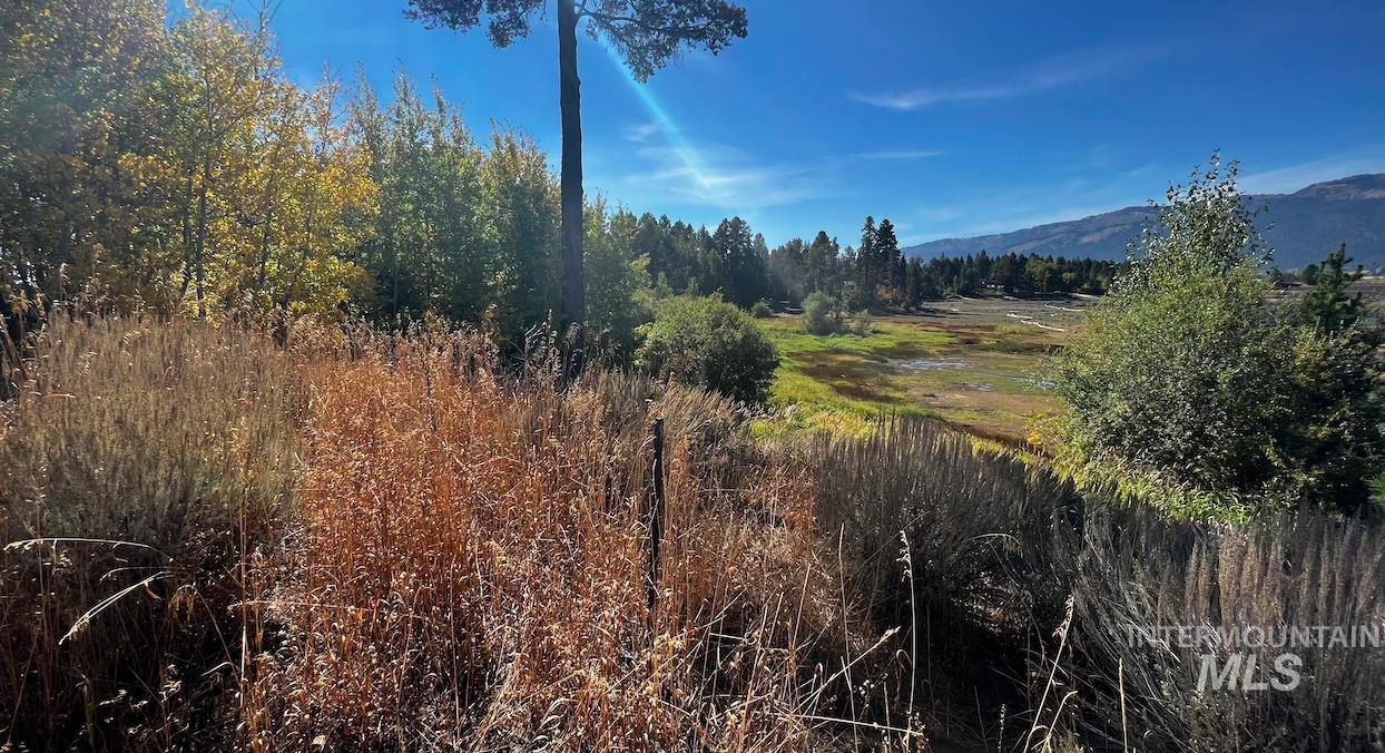 13 Bay View Dr, Donnelly, Idaho 83615, Land For Sale, Price $299,000,MLS 98909689