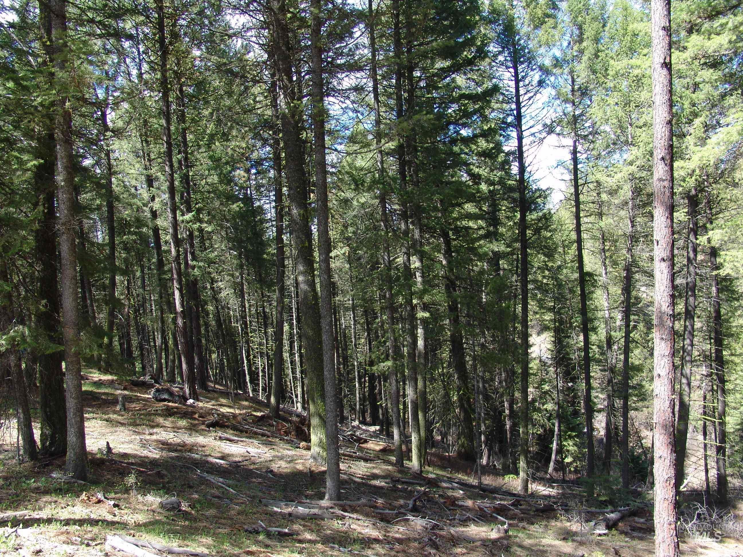 1353 Sterling Dr., Cascade, Idaho 83611, Land For Sale, Price $110,000, 98909737