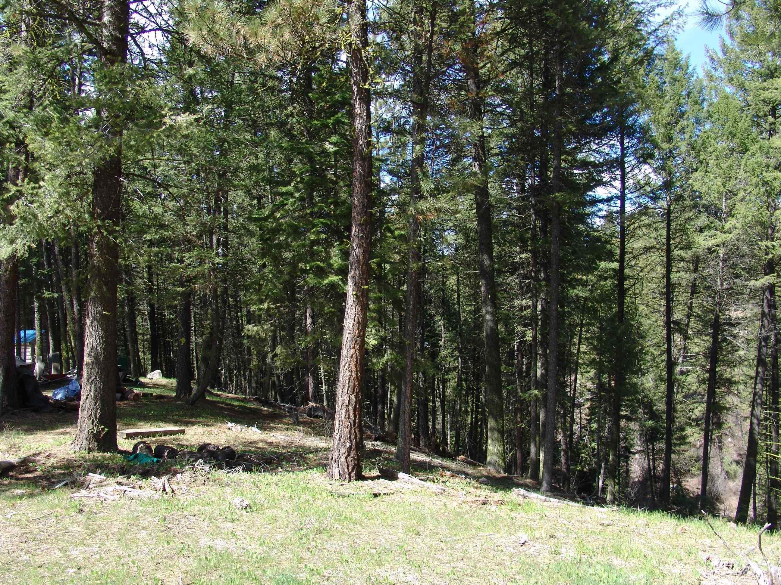 1353 Sterling Dr., Cascade, Idaho 83611, Land For Sale, Price $110,000,MLS 98909737