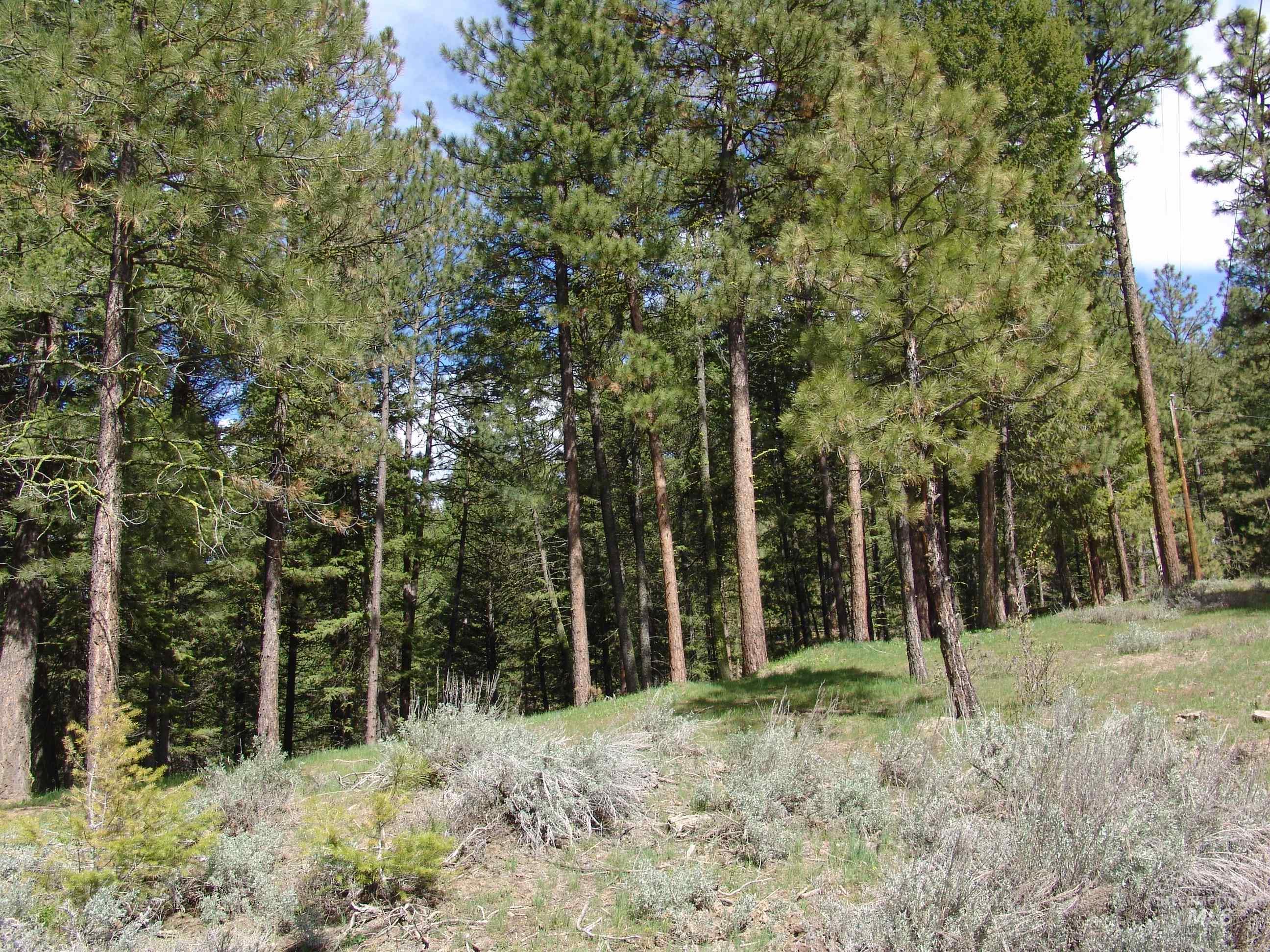 1353 Sterling Dr., Cascade, Idaho 83611, Land For Sale, Price $110,000,MLS 98909737