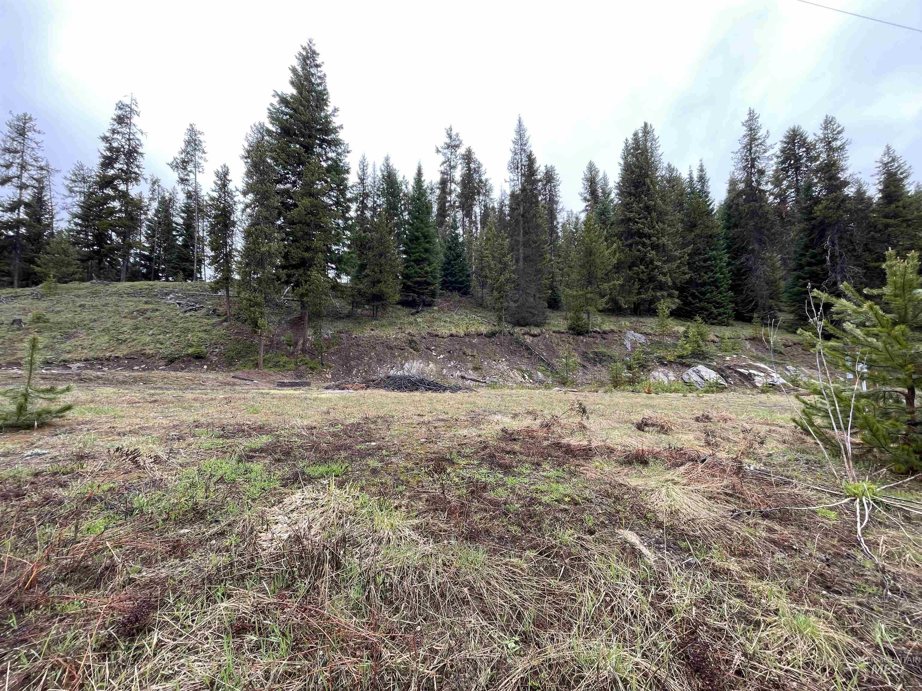 4250 and 4300 American River Rd, Elk City, Idaho 83525, 3 Bedrooms, 2 Bathrooms, Residential For Sale, Price $539,000, 98909819