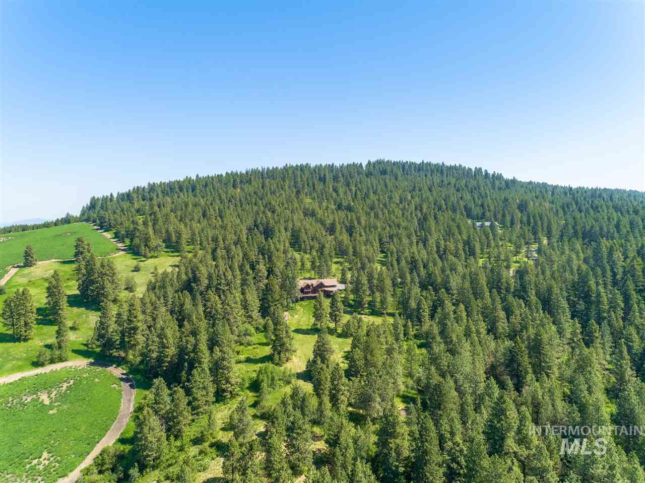 1050 Greenview Lane, Moscow, Idaho 83843-8726, 7 Bedrooms, 5.5 Bathrooms, Residential For Sale, Price $3,495,000, 98910111
