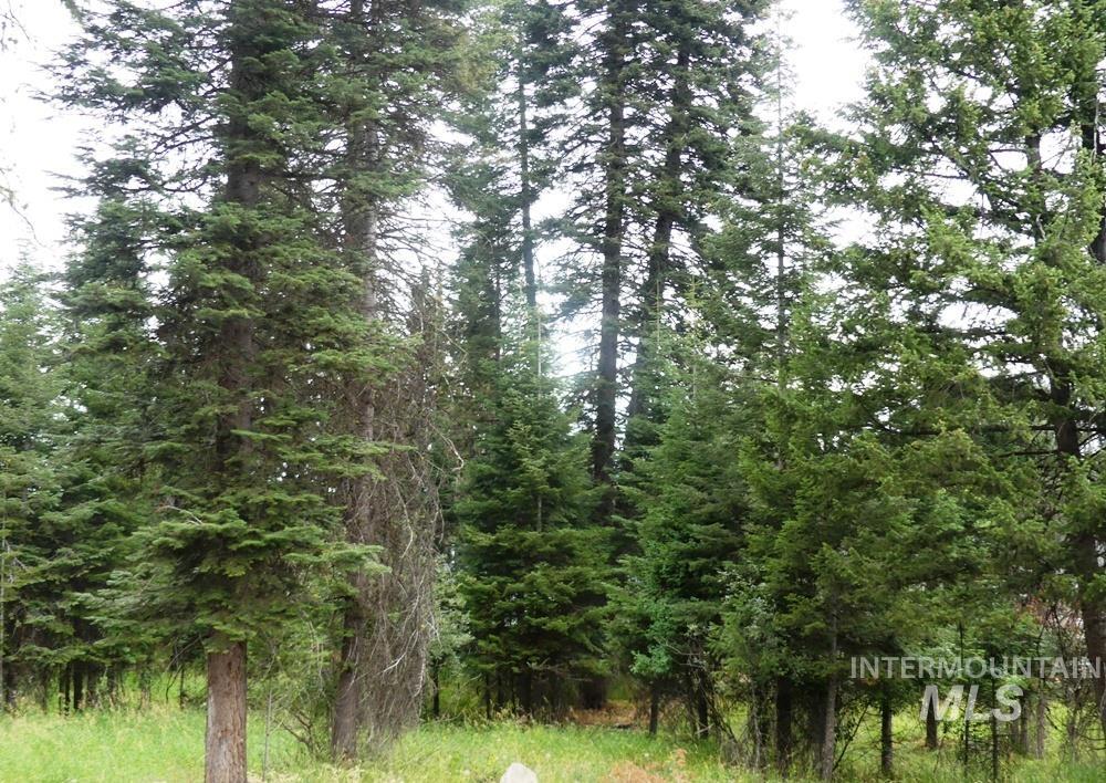 TBD Lot 1 Clements, McCall, Idaho 83638, Land For Sale, Price $245,500,MLS 98910188