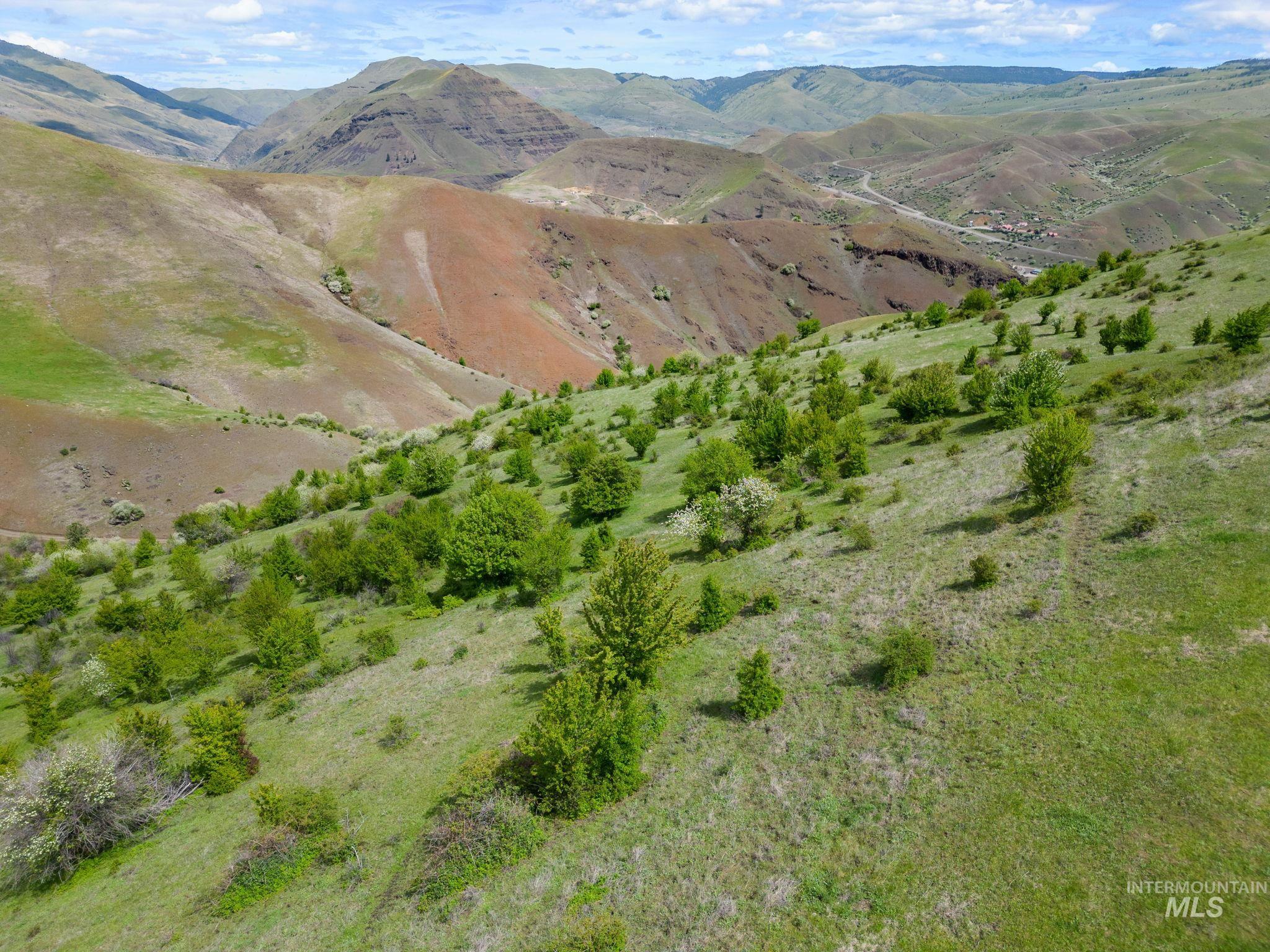 TBD Deer Creek RD, White Bird, Idaho 83554-5026, Land For Sale, Price $900,000,MLS 98910190