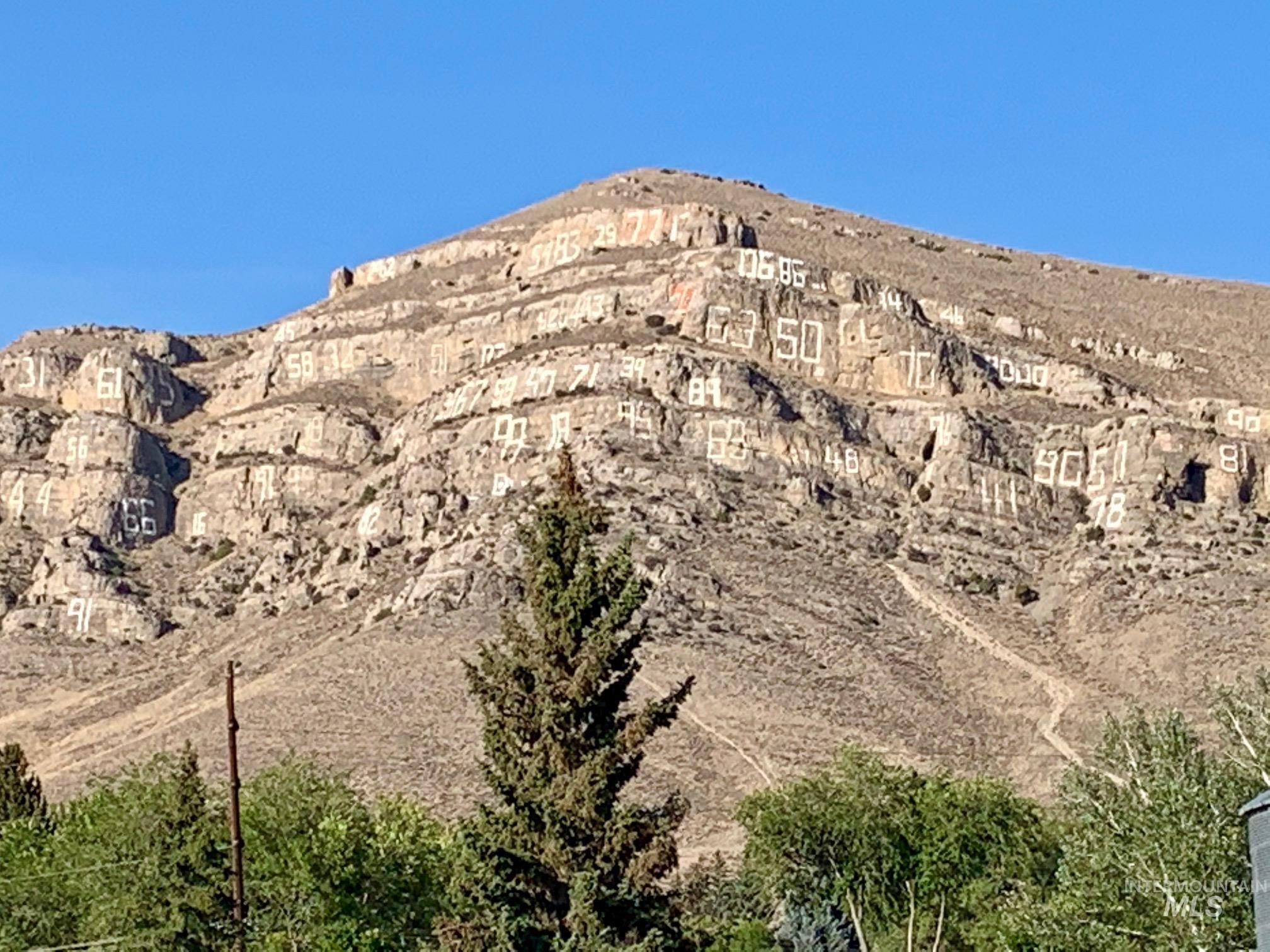 2431 US 20, Arco, Idaho 83213, Business/Commercial For Sale, Price $449,000, 98910406