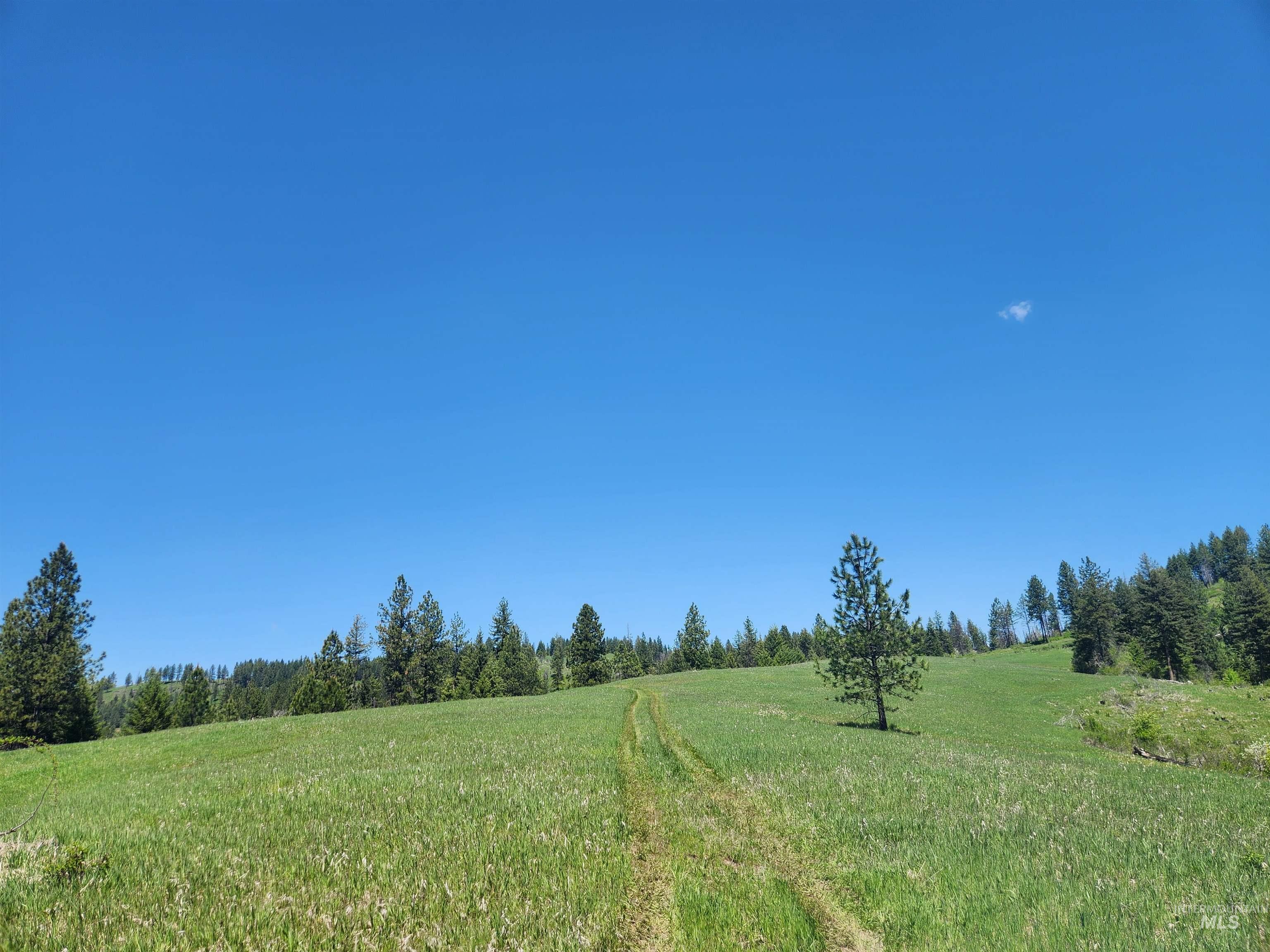 906 Pleasant Valley Ln, Weippe, Idaho 83553, Land For Sale, Price $498,900,MLS 98910483