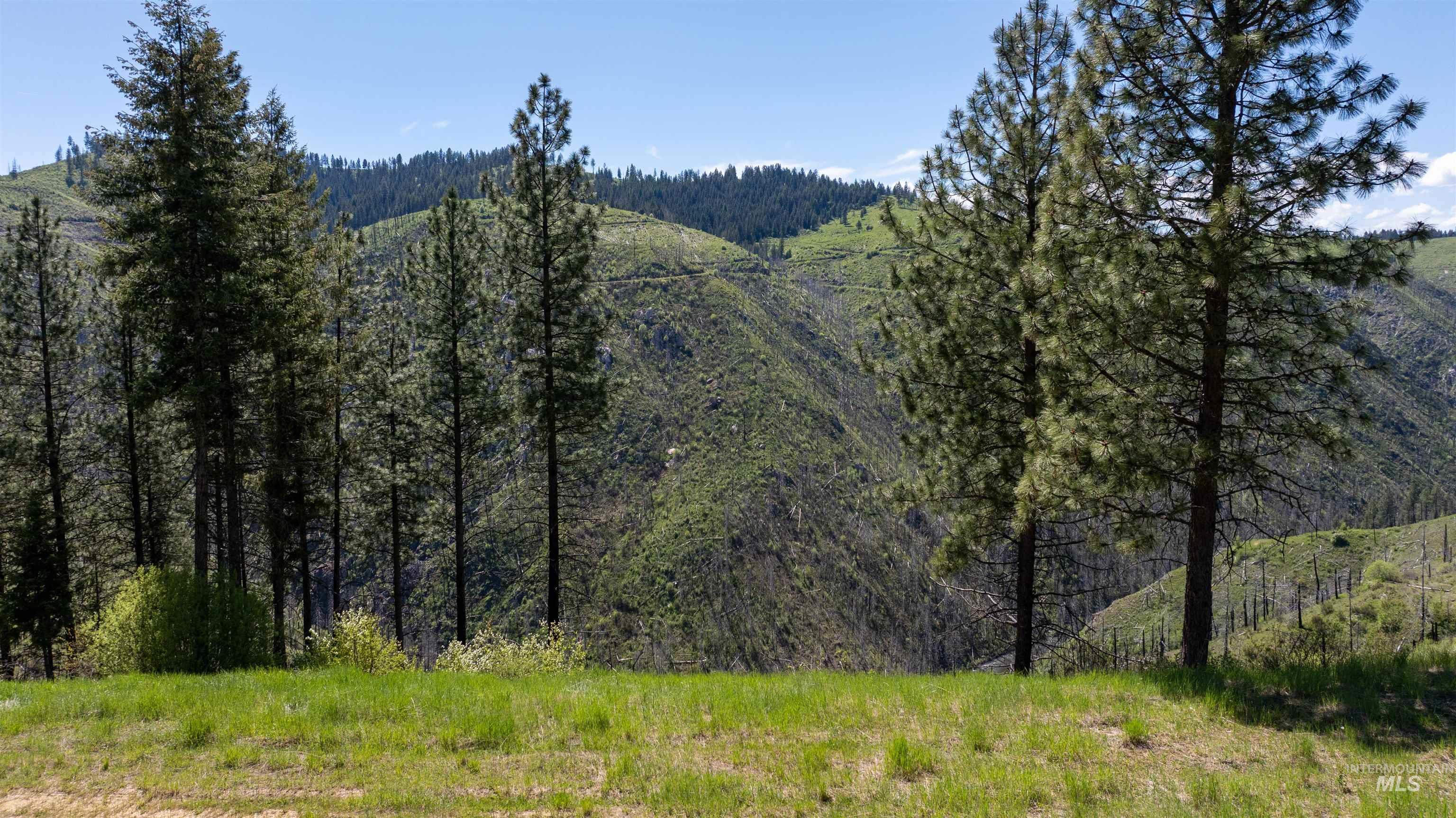 2912 Lolo Creek Rd, Weippe, Idaho 83553, Land For Sale, Price $169,900, 98910561