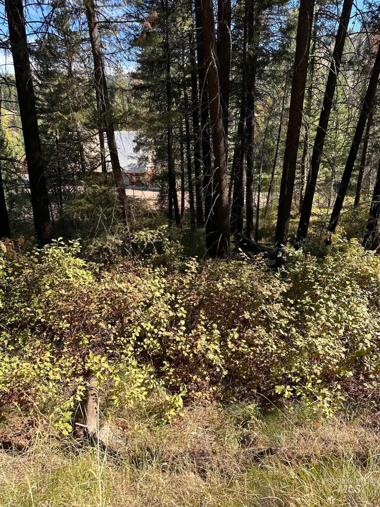 Fruitvale Glendale Rd., Council, Idaho 83612, Land For Sale, Price $36,000, 98910595