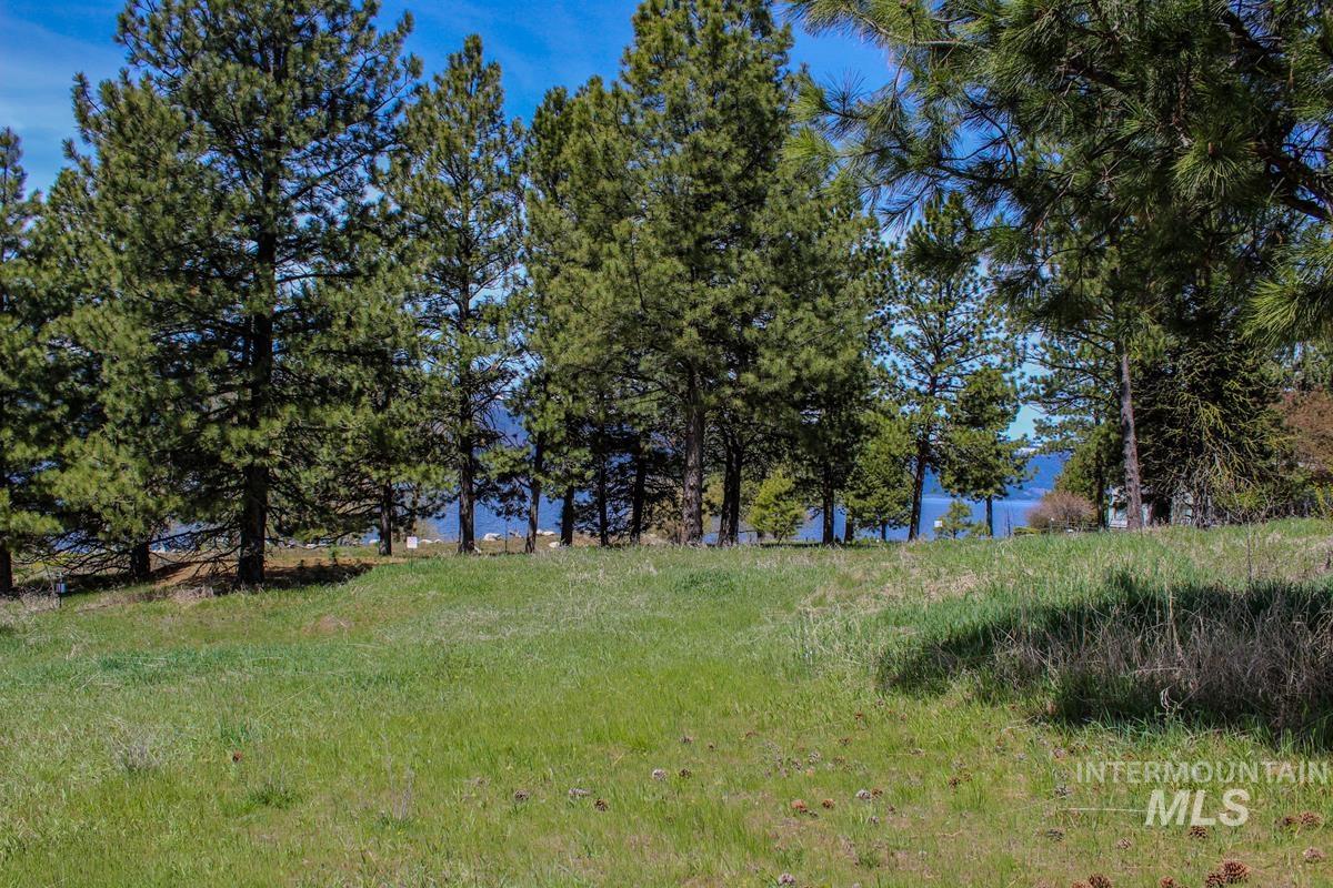 511 Lakeview Drive, Cascade, Idaho 83611, Land For Sale, Price $299,000, 98910628
