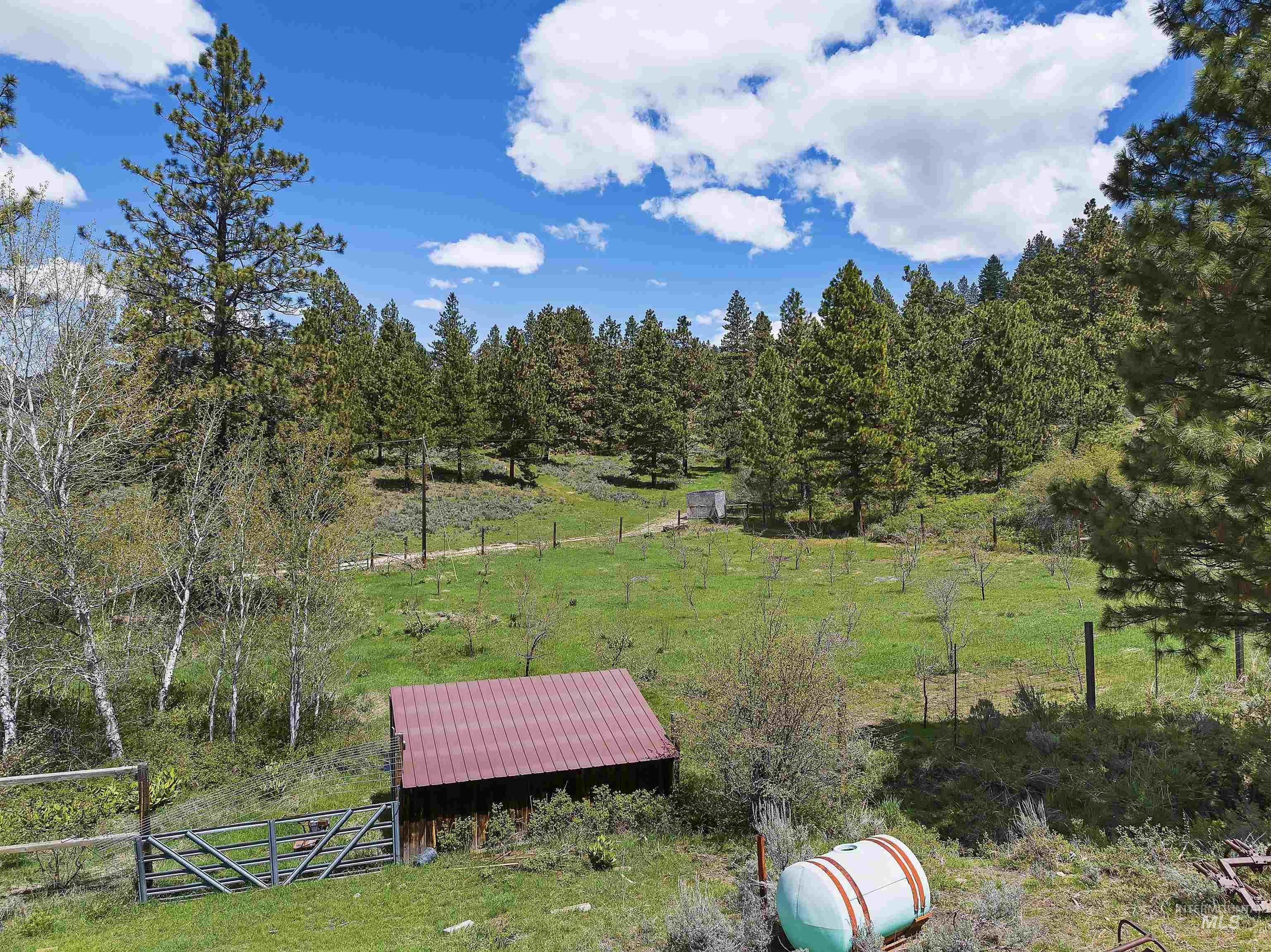 675 W Russell Dr, Prairie, Idaho 83647, 3 Bedrooms, 2 Bathrooms, Farm & Ranch For Sale, Price $3,999,000,MLS 98910636