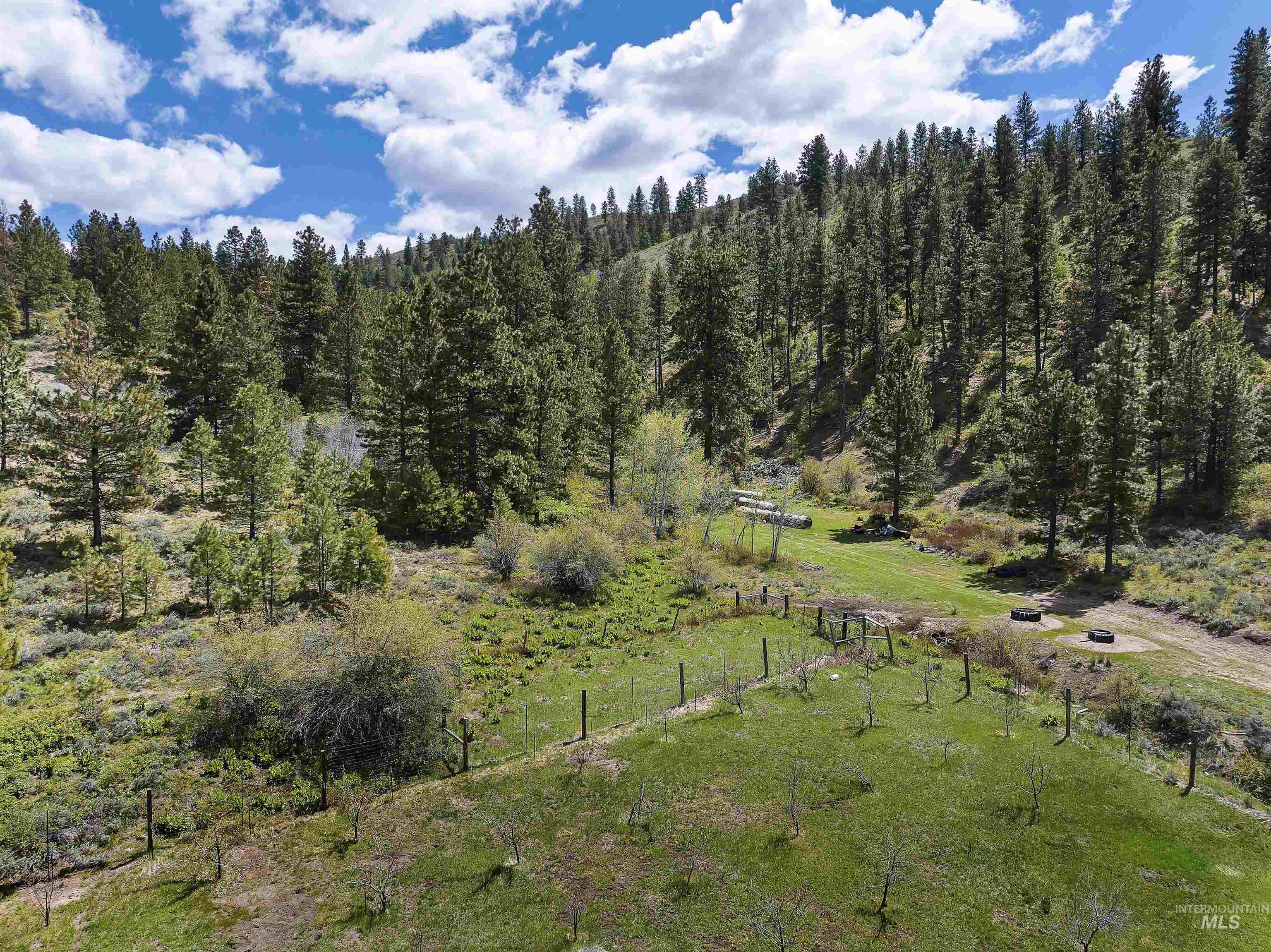 675 W Russell Dr, Prairie, Idaho 83647, 3 Bedrooms, 2 Bathrooms, Farm & Ranch For Sale, Price $3,999,000, 98910636