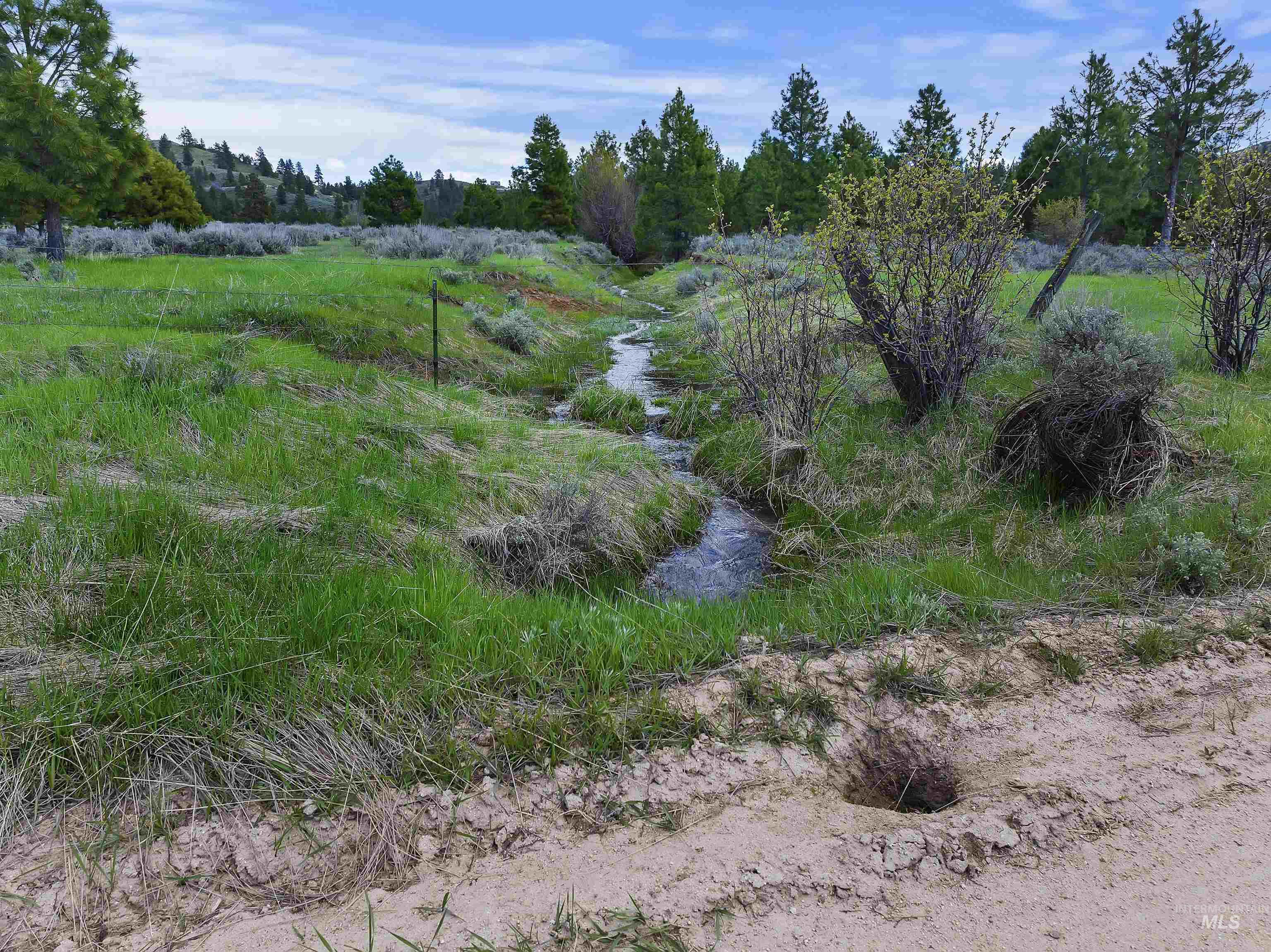 675 W Russell Dr, Prairie, Idaho 83647, 3 Bedrooms, 2 Bathrooms, Farm & Ranch For Sale, Price $3,999,000, 98910636