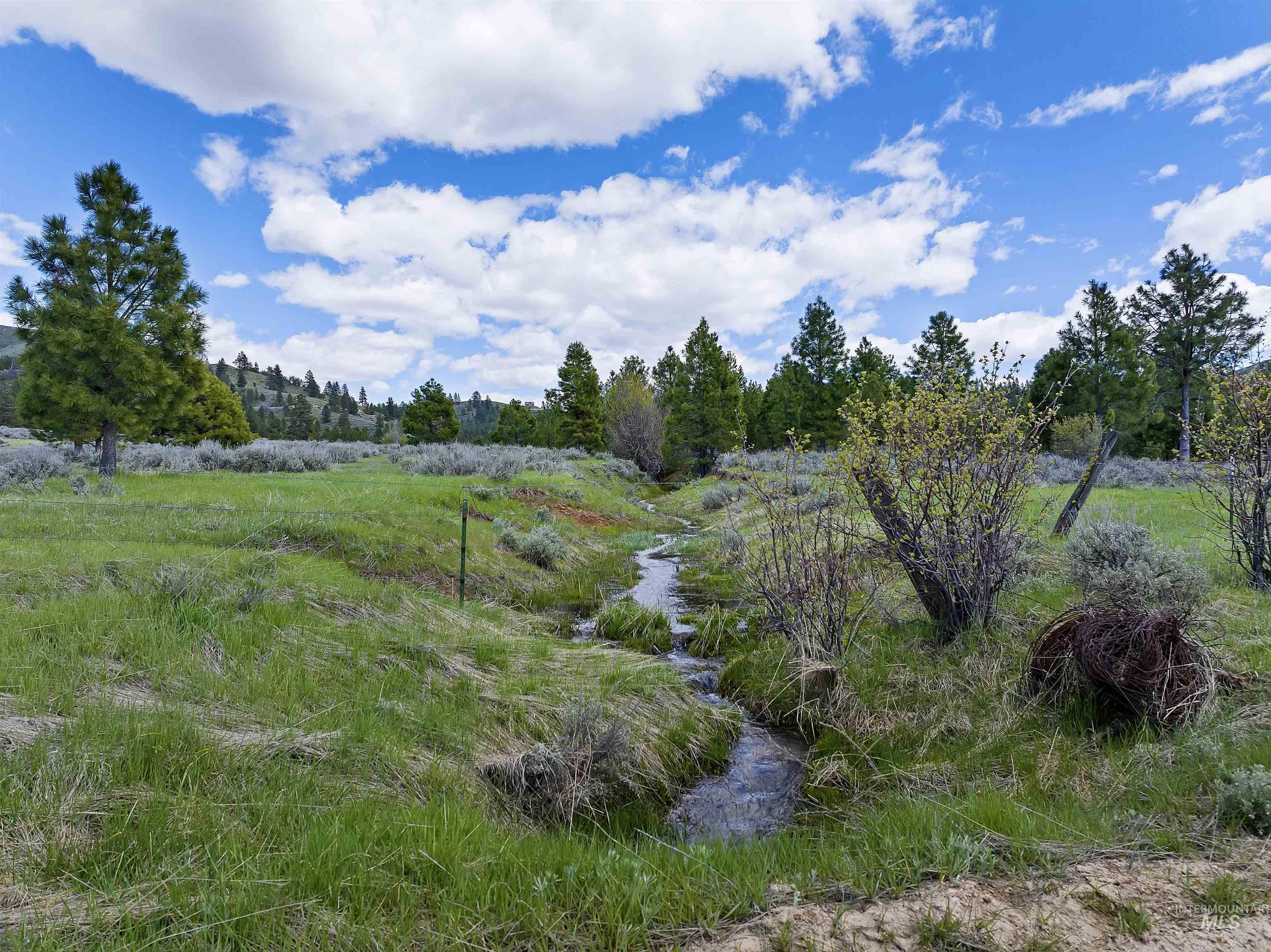 675 W Russell Dr, Prairie, Idaho 83647, 3 Bedrooms, 2 Bathrooms, Farm & Ranch For Sale, Price $3,999,000, 98910636