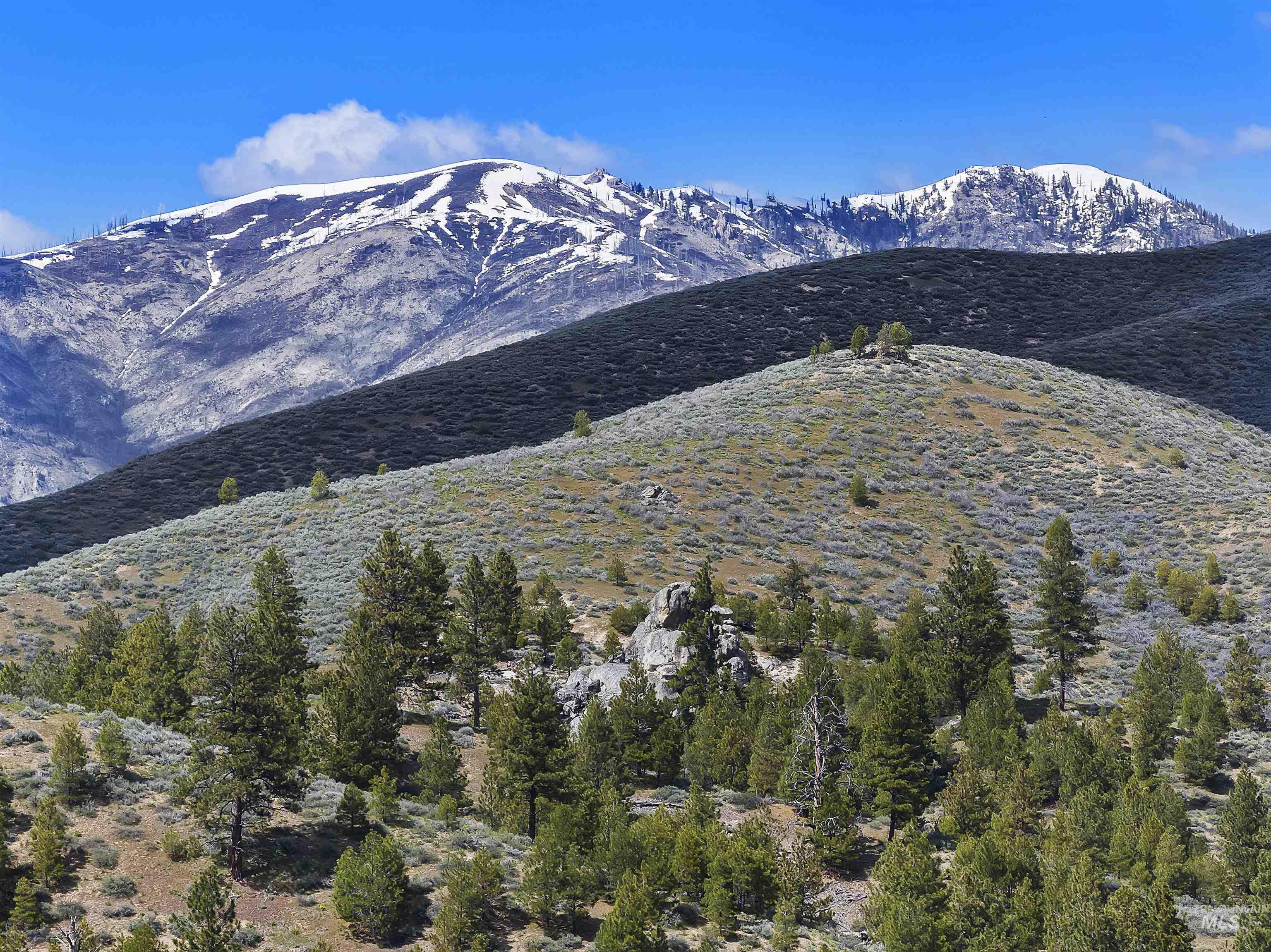 675 W Russell Dr, Prairie, Idaho 83647, 3 Bedrooms, 2 Bathrooms, Farm & Ranch For Sale, Price $3,999,000, 98910636