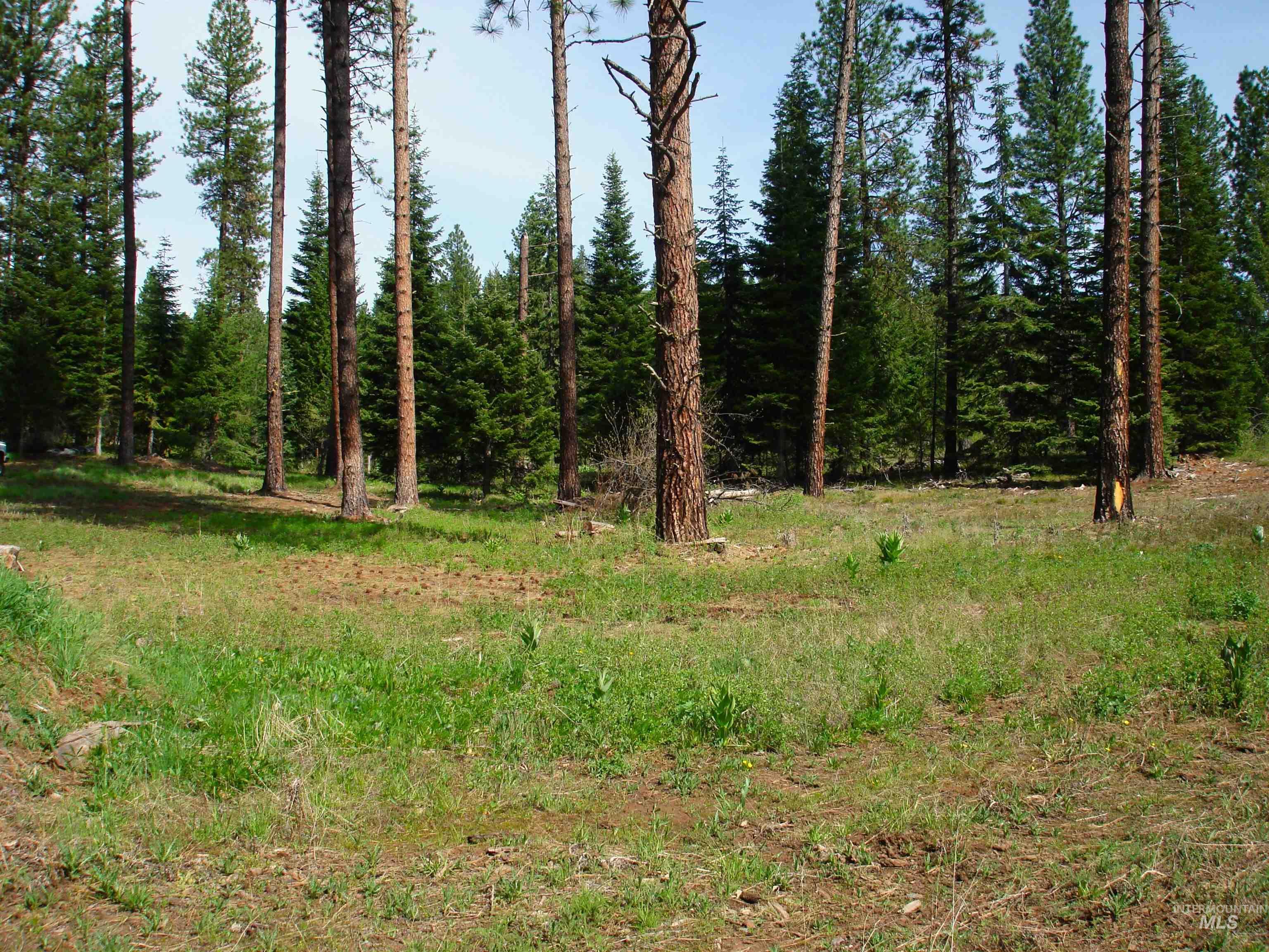 3641 Hwy 95, New Meadows, Idaho 83654, Land For Sale, Price $250,000,MLS 98910713
