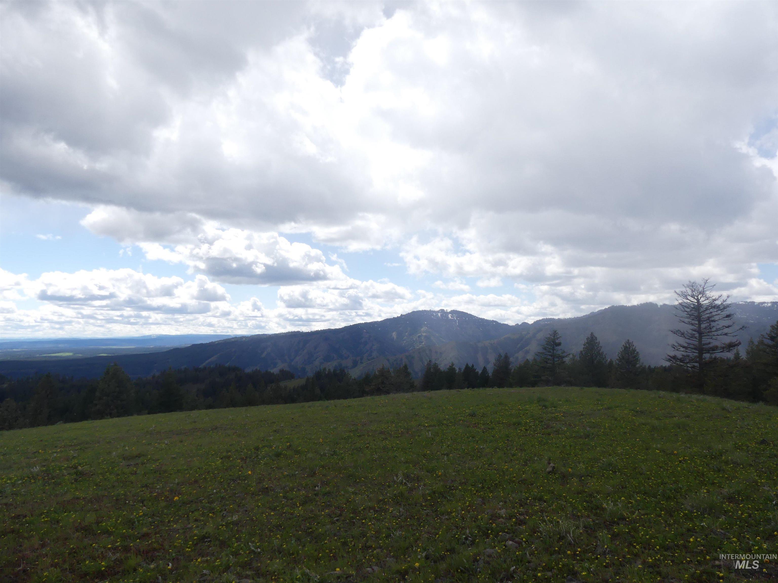 000 Hansen Ridge Road, Anatone, Washington 99401, Land For Sale, Price $350,000,MLS 98910830