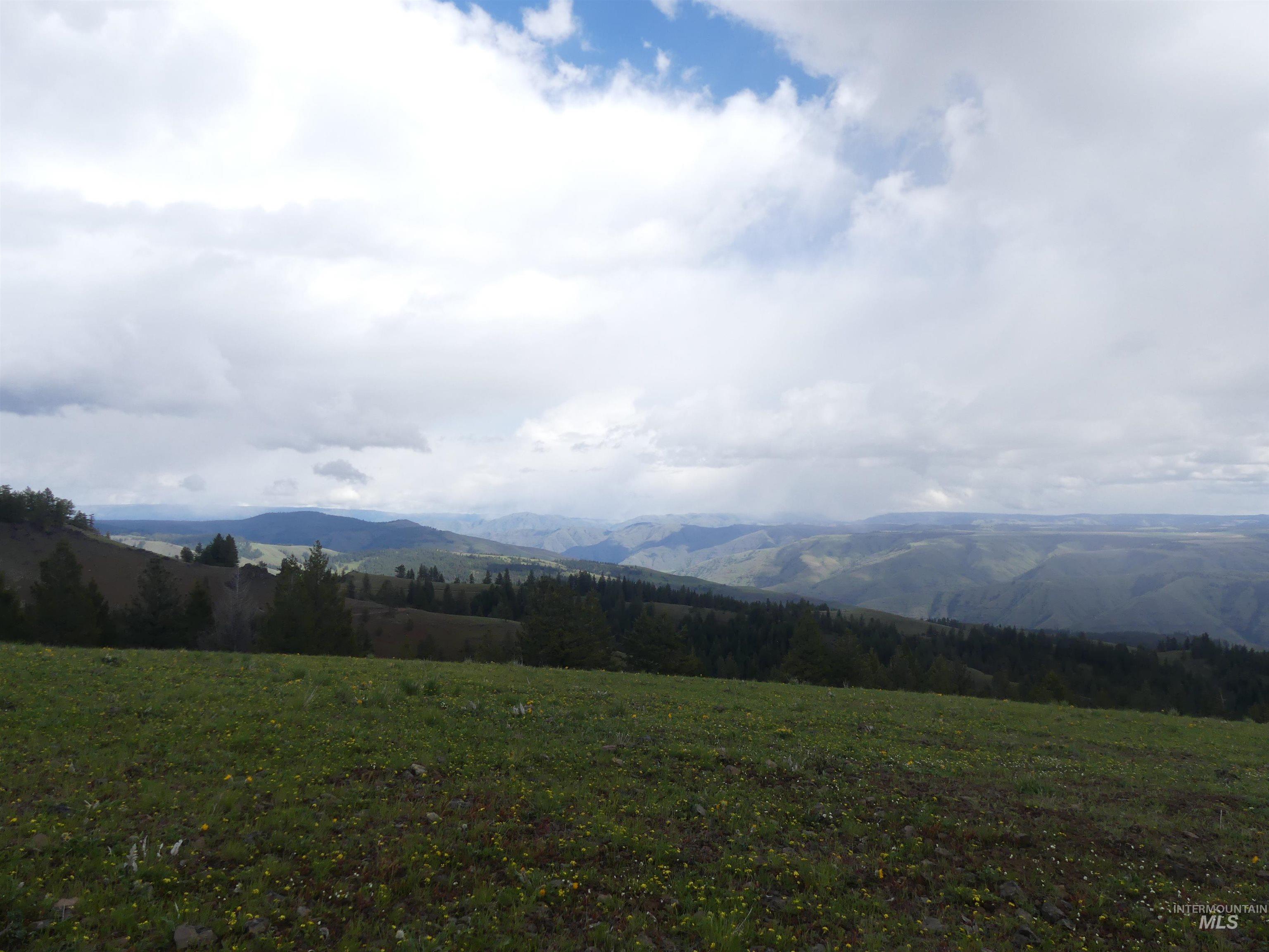 000 Hansen Ridge Road, Anatone, Washington 99401, Land For Sale, Price $350,000,MLS 98910830