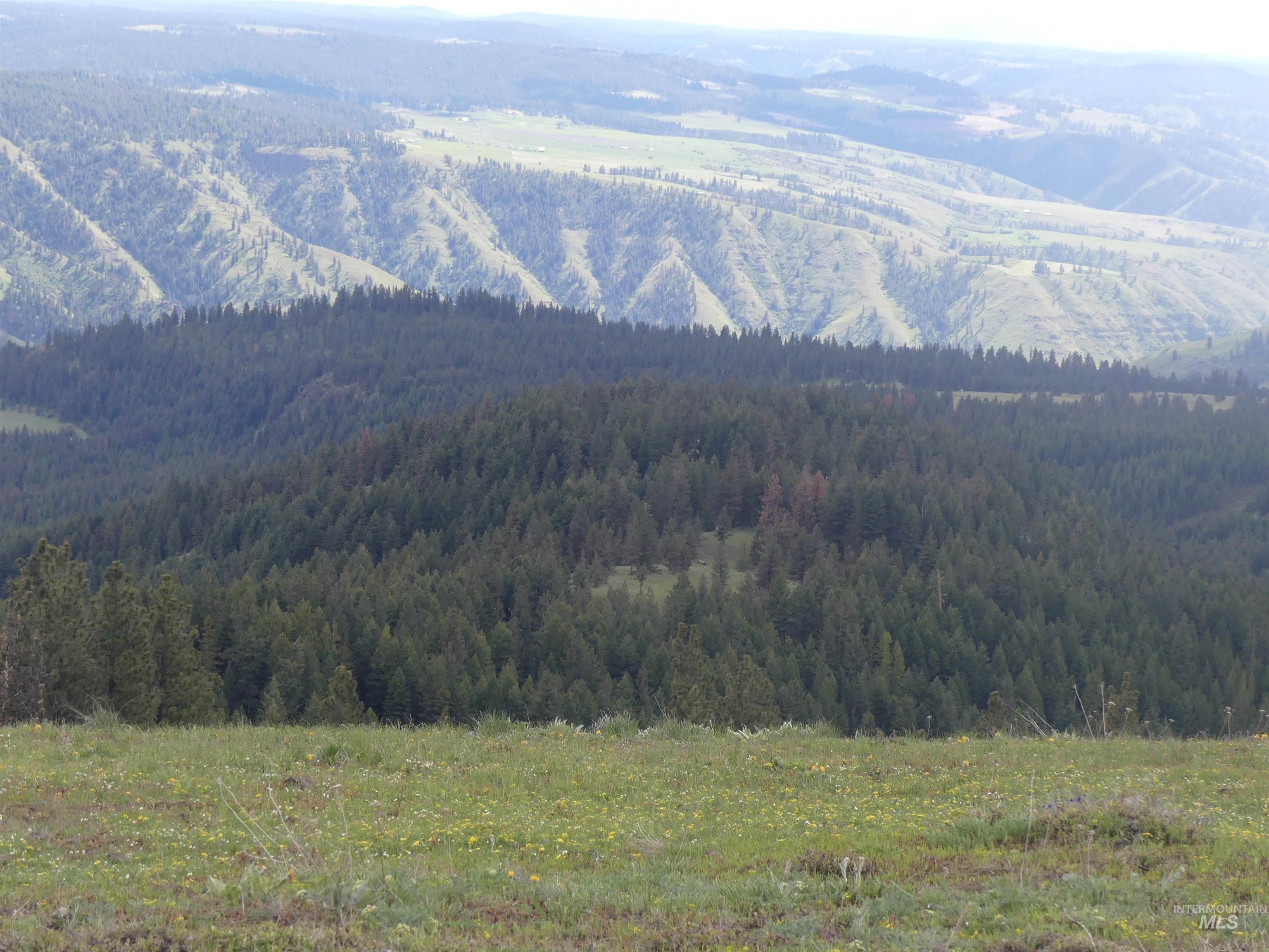 000 Hansen Ridge Road, Anatone, Washington 99401, Land For Sale, Price $350,000,MLS 98910830