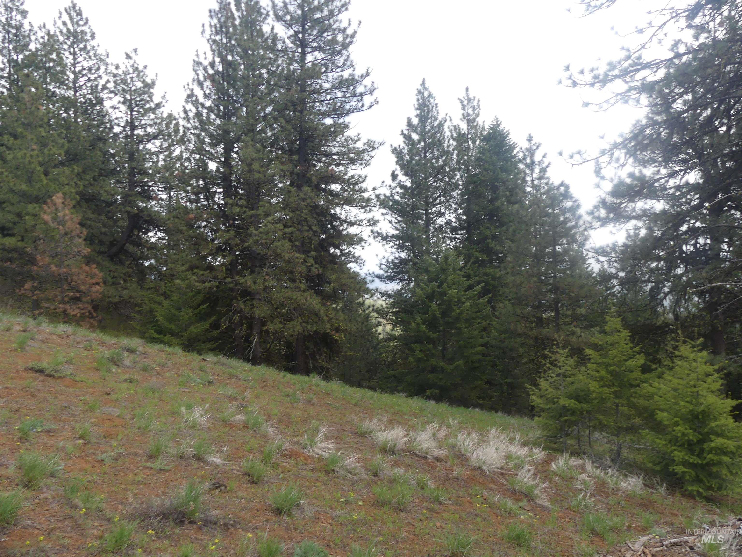 000 Hansen Ridge Road, Anatone, Washington 99401, Land For Sale, Price $350,000,MLS 98910830