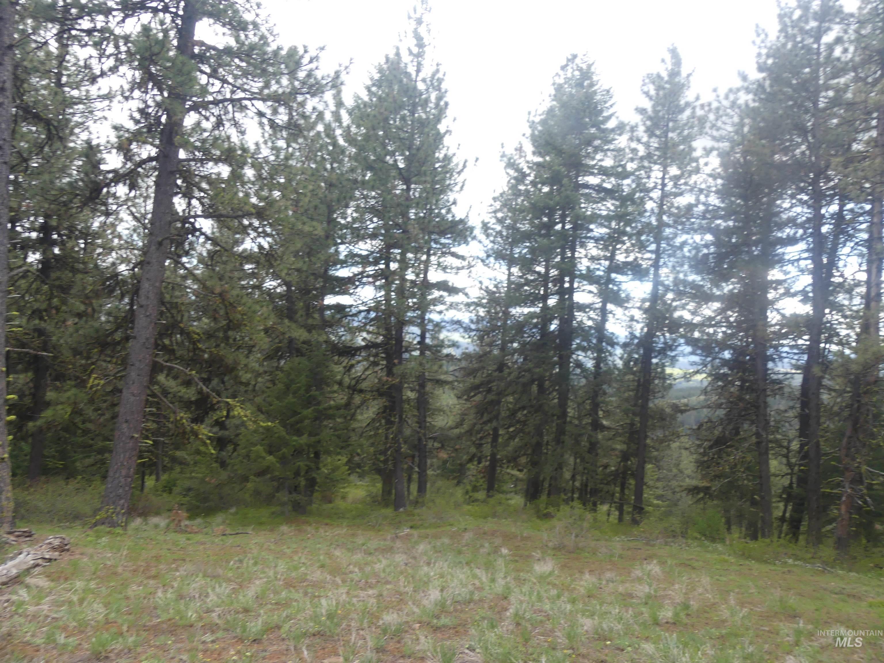 000 Hansen Ridge Road, Anatone, Washington 99401, Land For Sale, Price $350,000,MLS 98910830