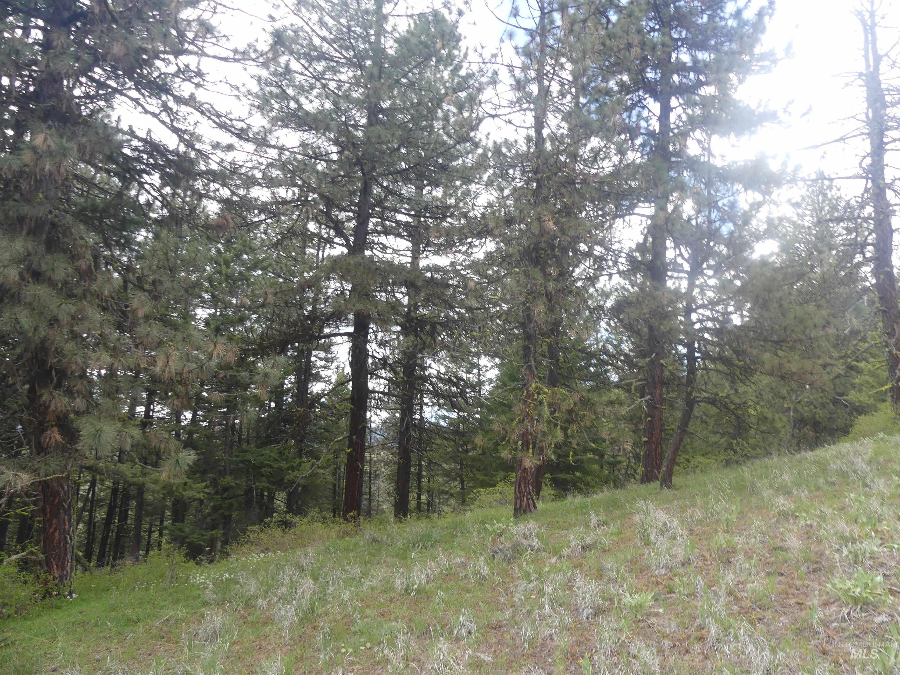 000 Hansen Ridge Road, Anatone, Washington 99401, Land For Sale, Price $350,000,MLS 98910830