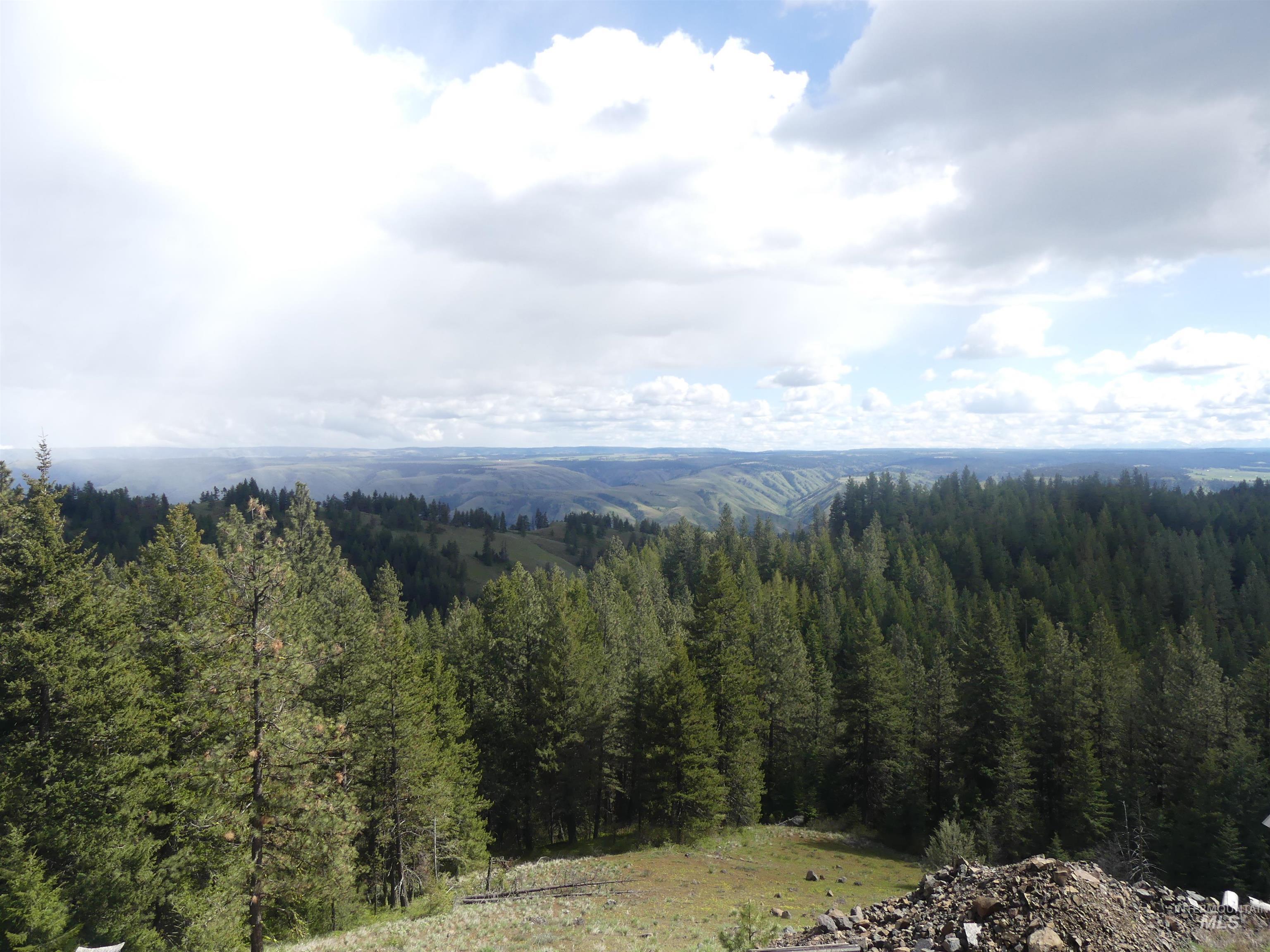 000 Hansen Ridge Road, Anatone, Washington 99401, Land For Sale, Price $350,000,MLS 98910830