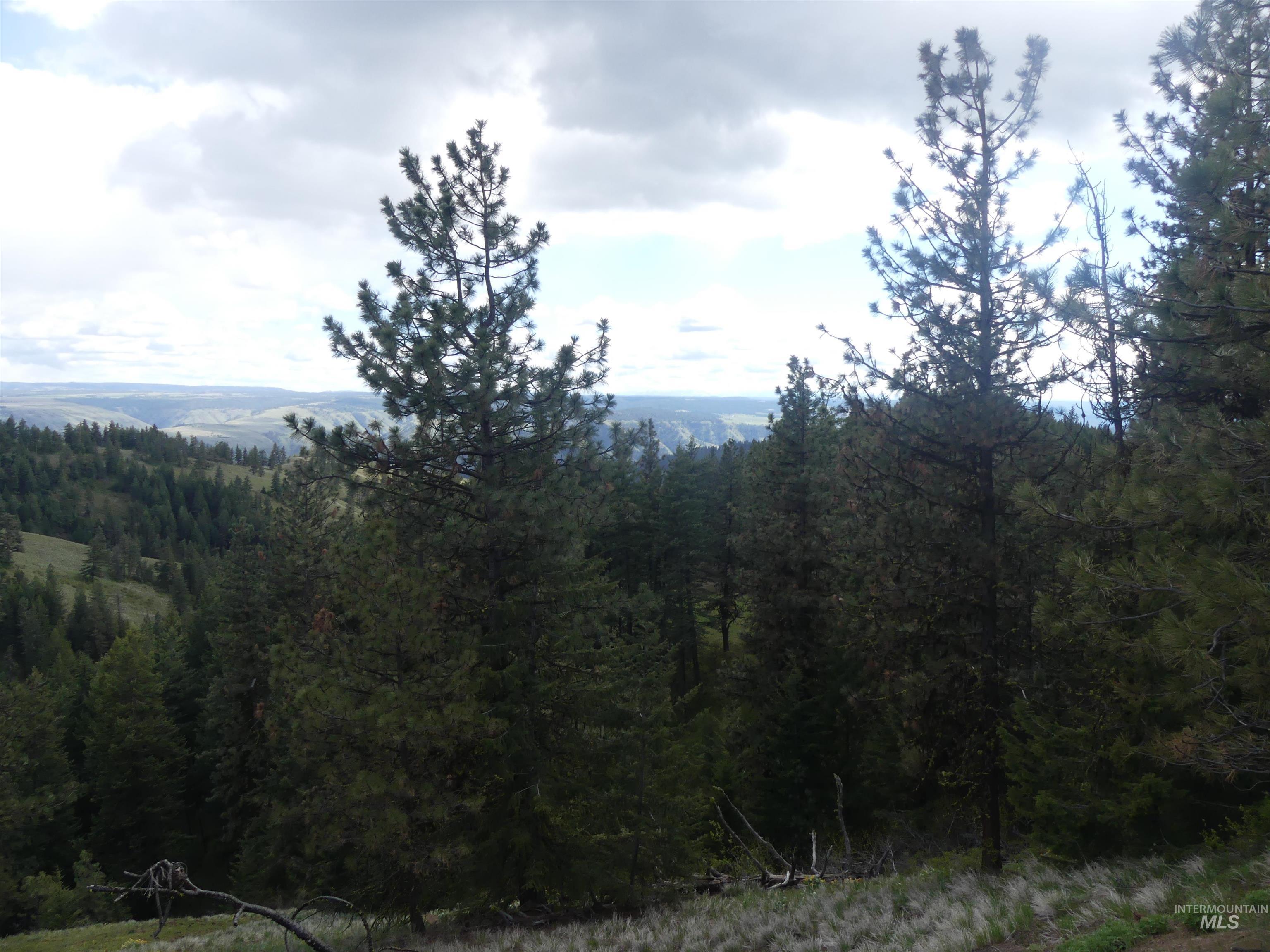 000 Hansen Ridge Road, Anatone, Washington 99401, Land For Sale, Price $350,000,MLS 98910830