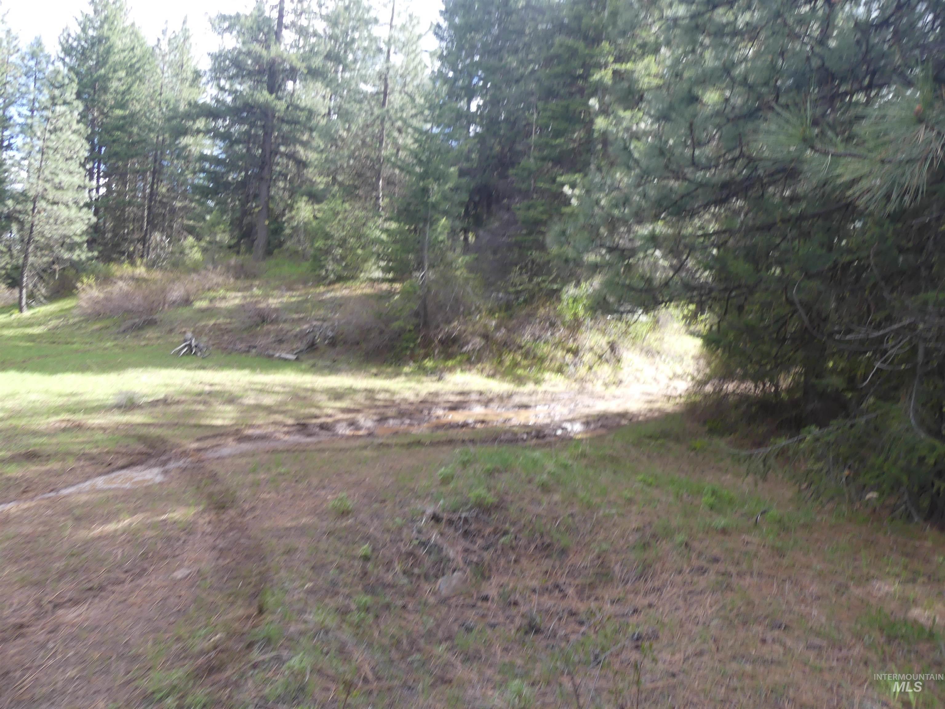 000 Hansen Ridge Road, Anatone, Washington 99401, Land For Sale, Price $350,000,MLS 98910830