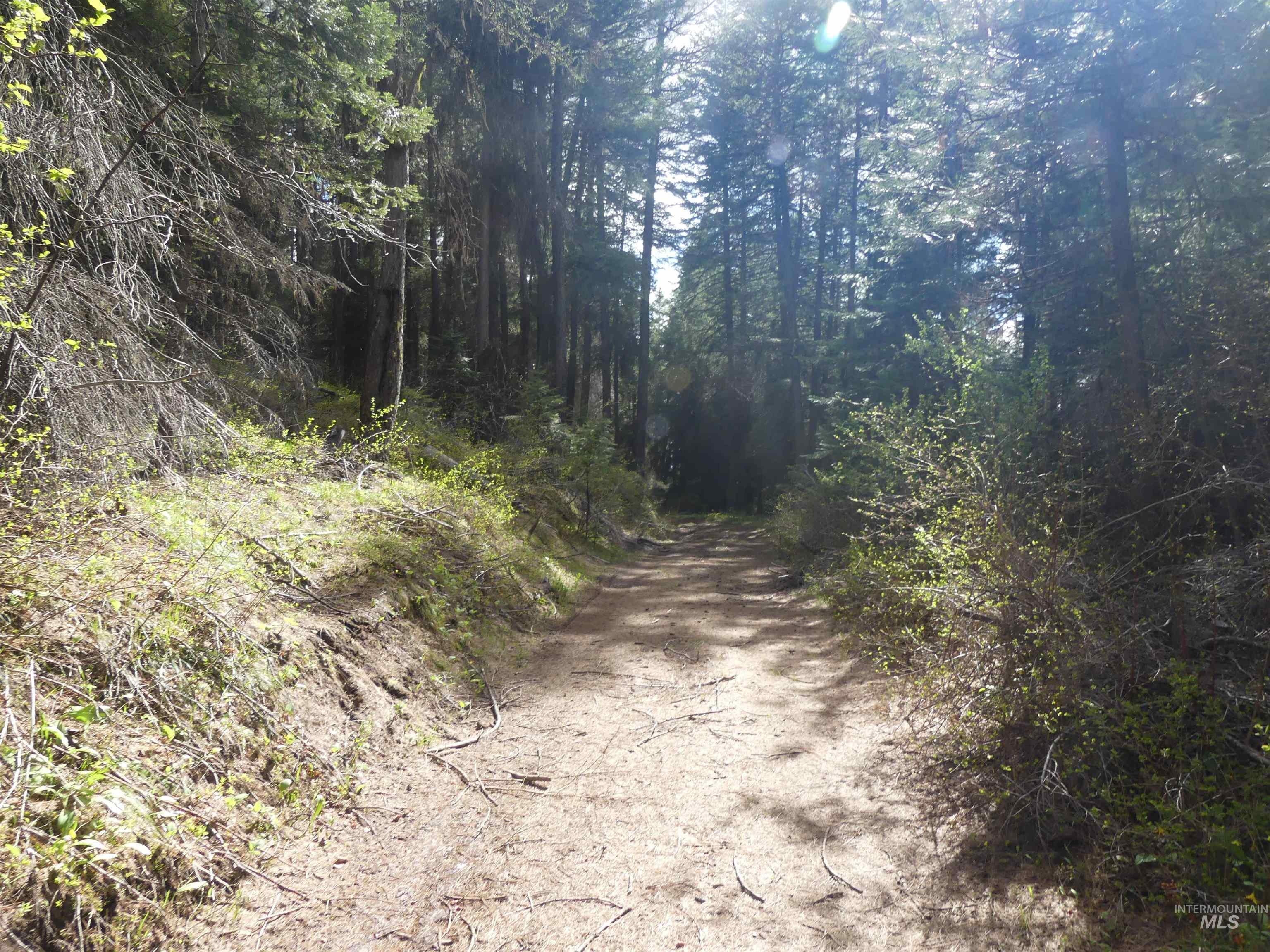 000 Hansen Ridge Road, Anatone, Washington 99401, Land For Sale, Price $350,000,MLS 98910830