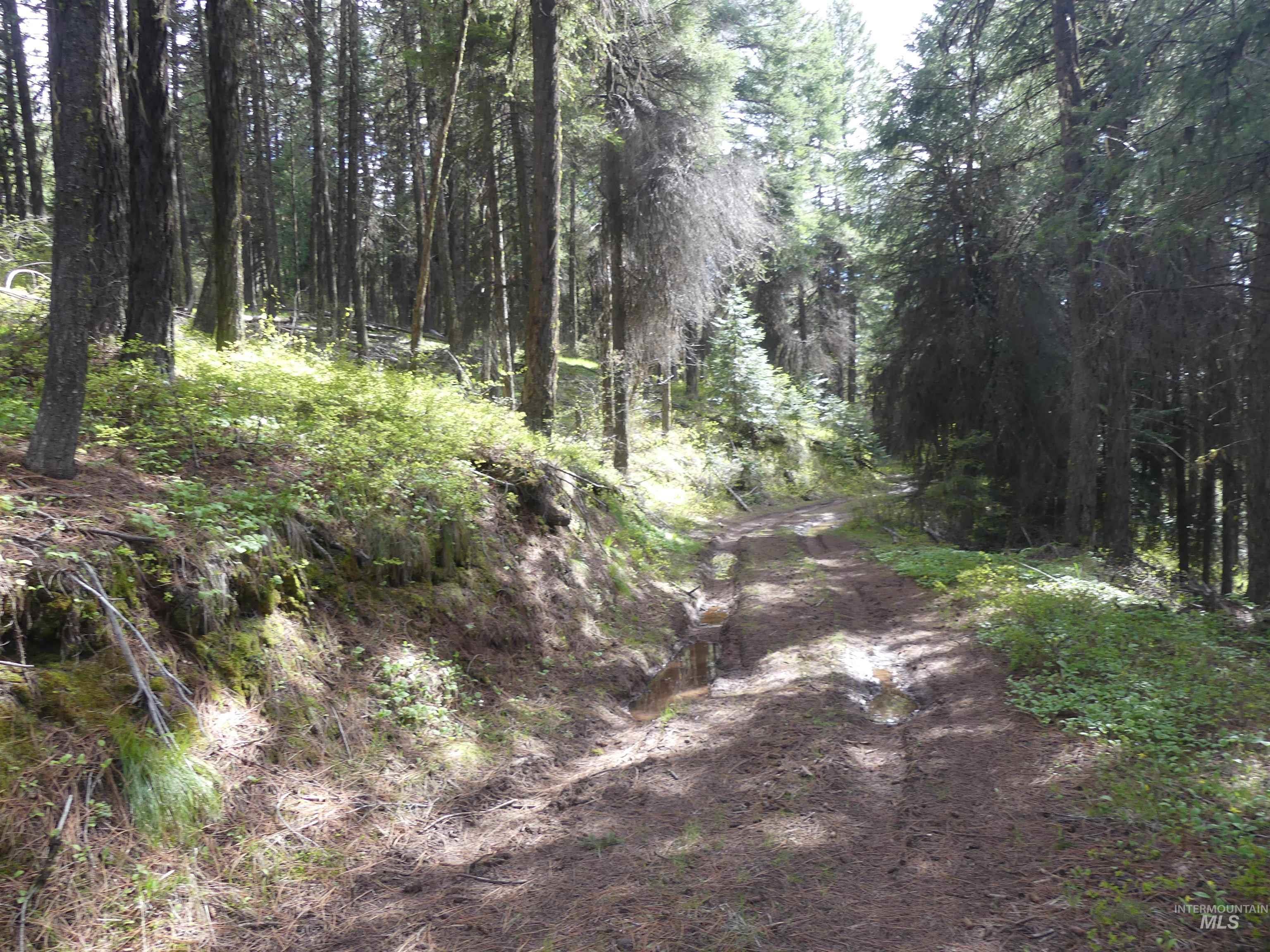000 Hansen Ridge Road, Anatone, Washington 99401, Land For Sale, Price $350,000,MLS 98910830