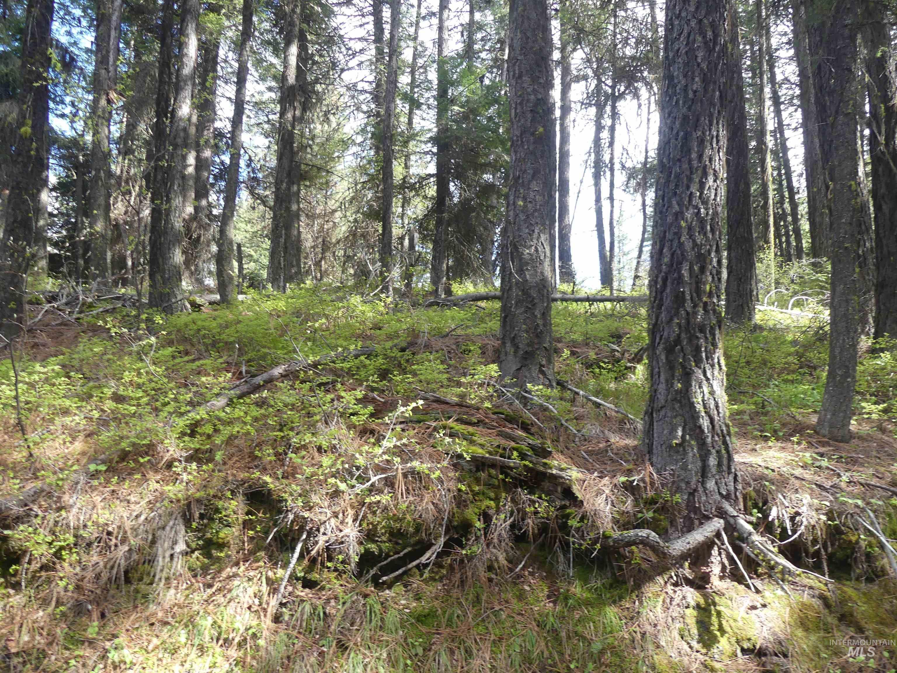 000 Hansen Ridge Road, Anatone, Washington 99401, Land For Sale, Price $350,000,MLS 98910830