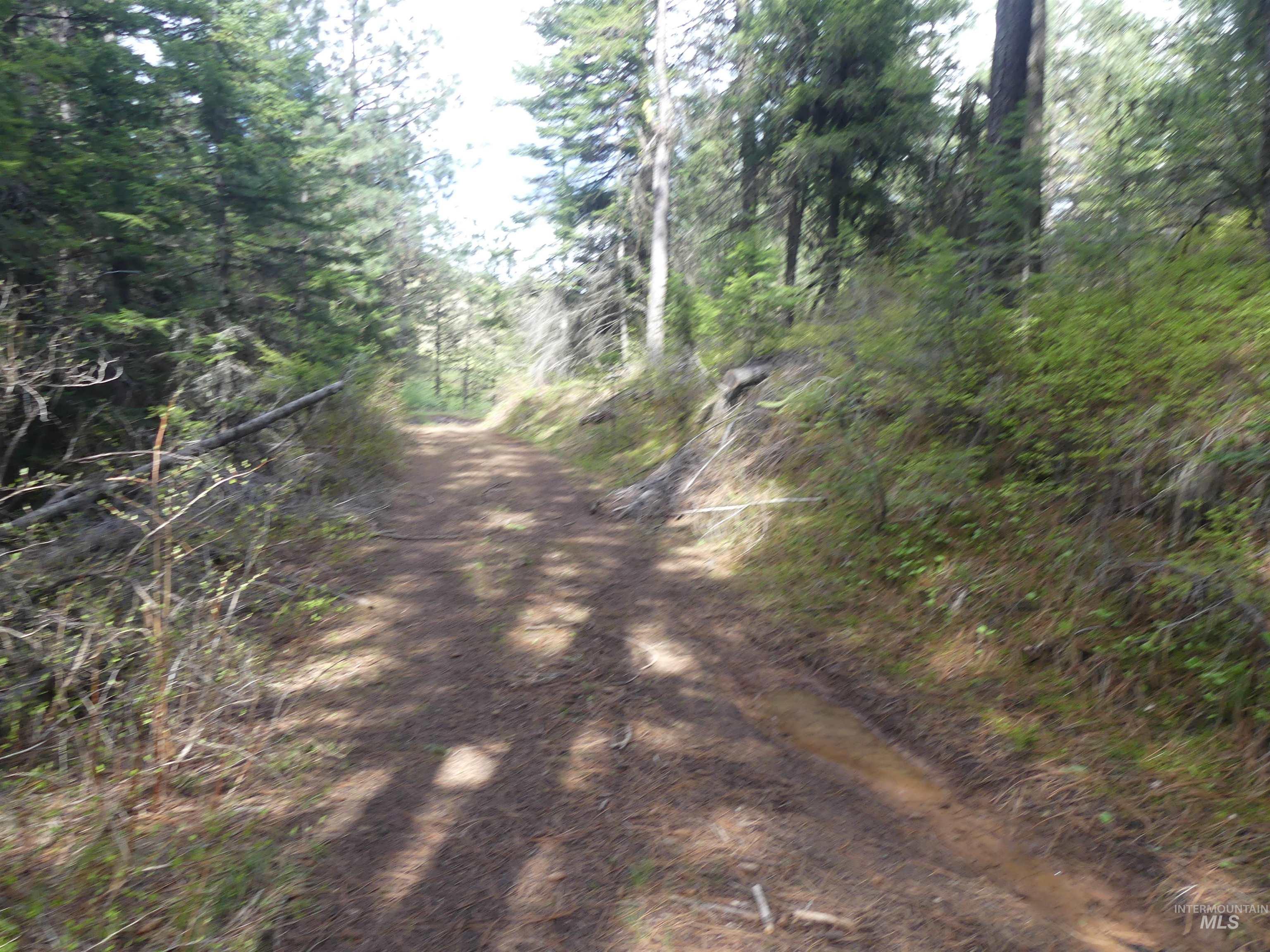 000 Hansen Ridge Road, Anatone, Washington 99401, Land For Sale, Price $350,000,MLS 98910830