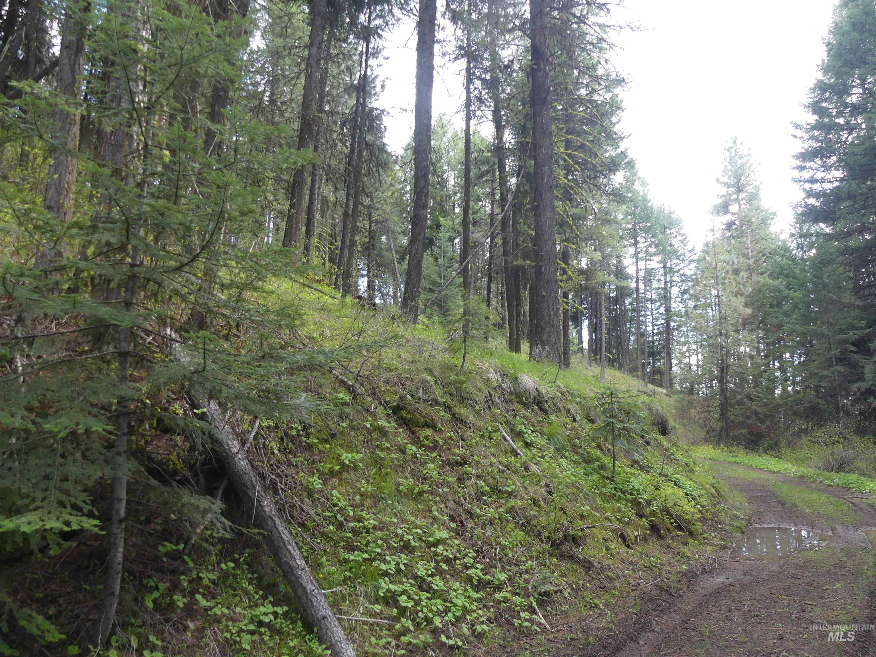 000 Hansen Ridge Road, Anatone, Washington 99401, Land For Sale, Price $350,000,MLS 98910830