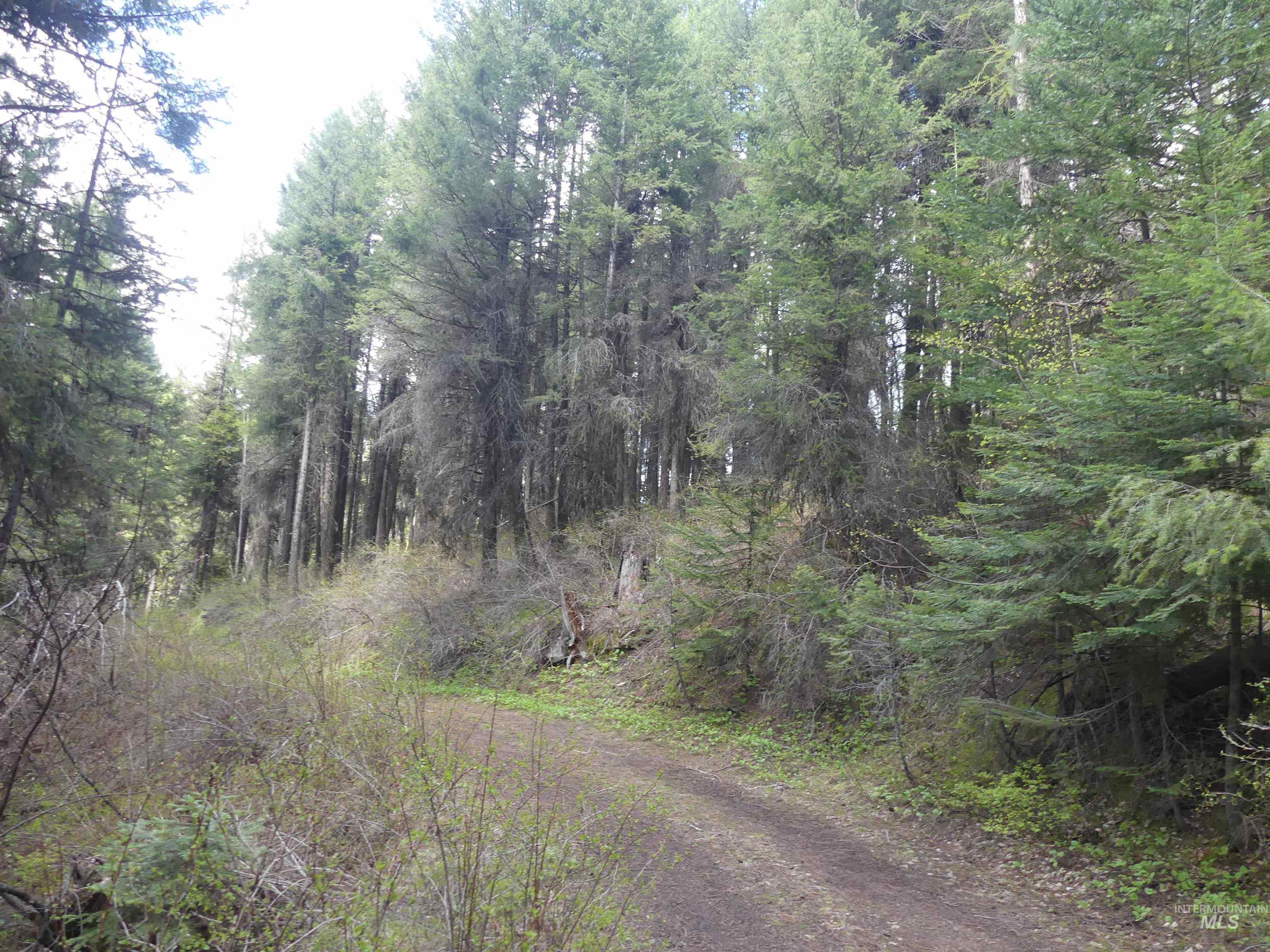 000 Hansen Ridge Road, Anatone, Washington 99401, Land For Sale, Price $350,000,MLS 98910830
