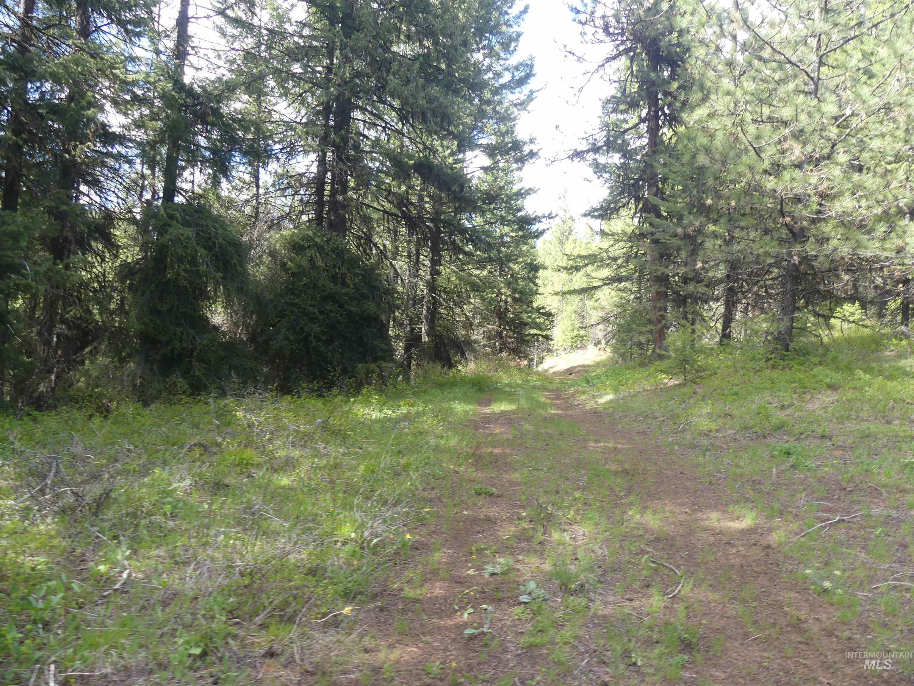 000 Hansen Ridge Road, Anatone, Washington 99401, Land For Sale, Price $350,000,MLS 98910830