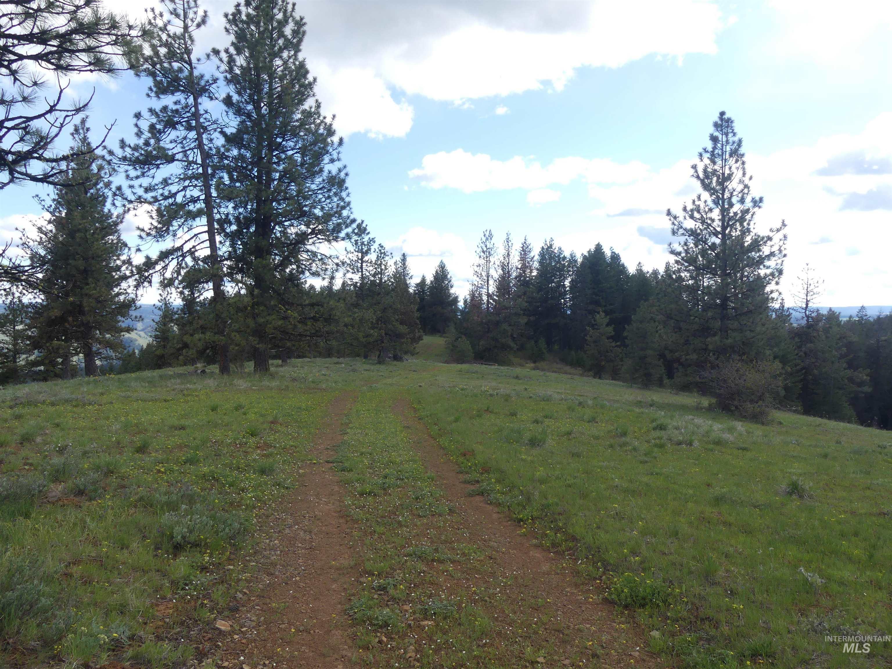 000 Hansen Ridge Road, Anatone, Washington 99401, Land For Sale, Price $350,000,MLS 98910830