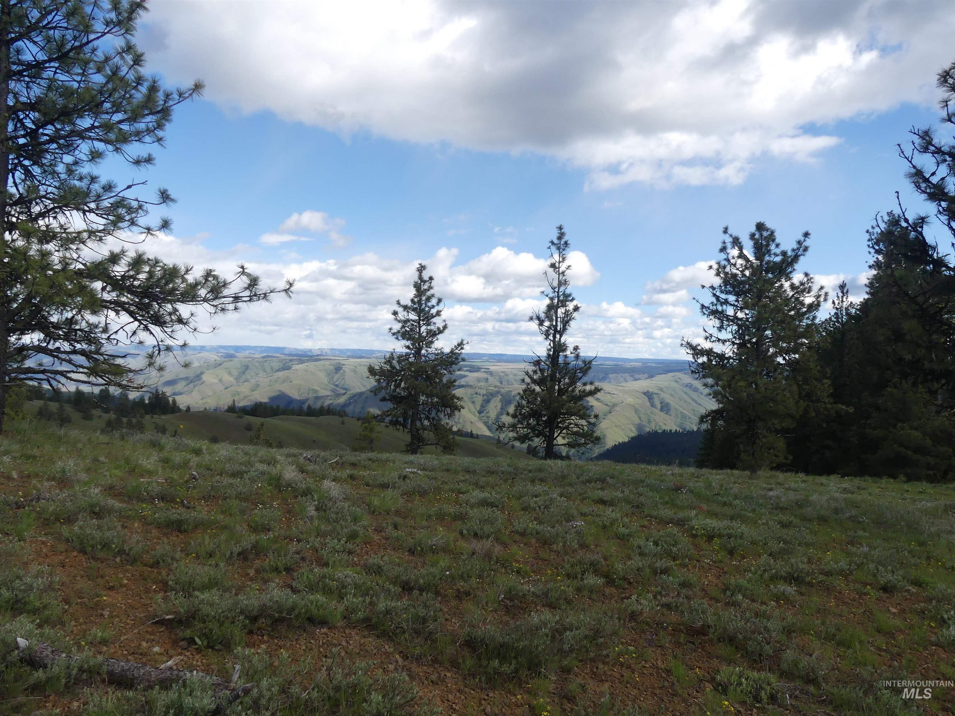 000 Hansen Ridge Road, Anatone, Washington 99401, Land For Sale, Price $350,000,MLS 98910830