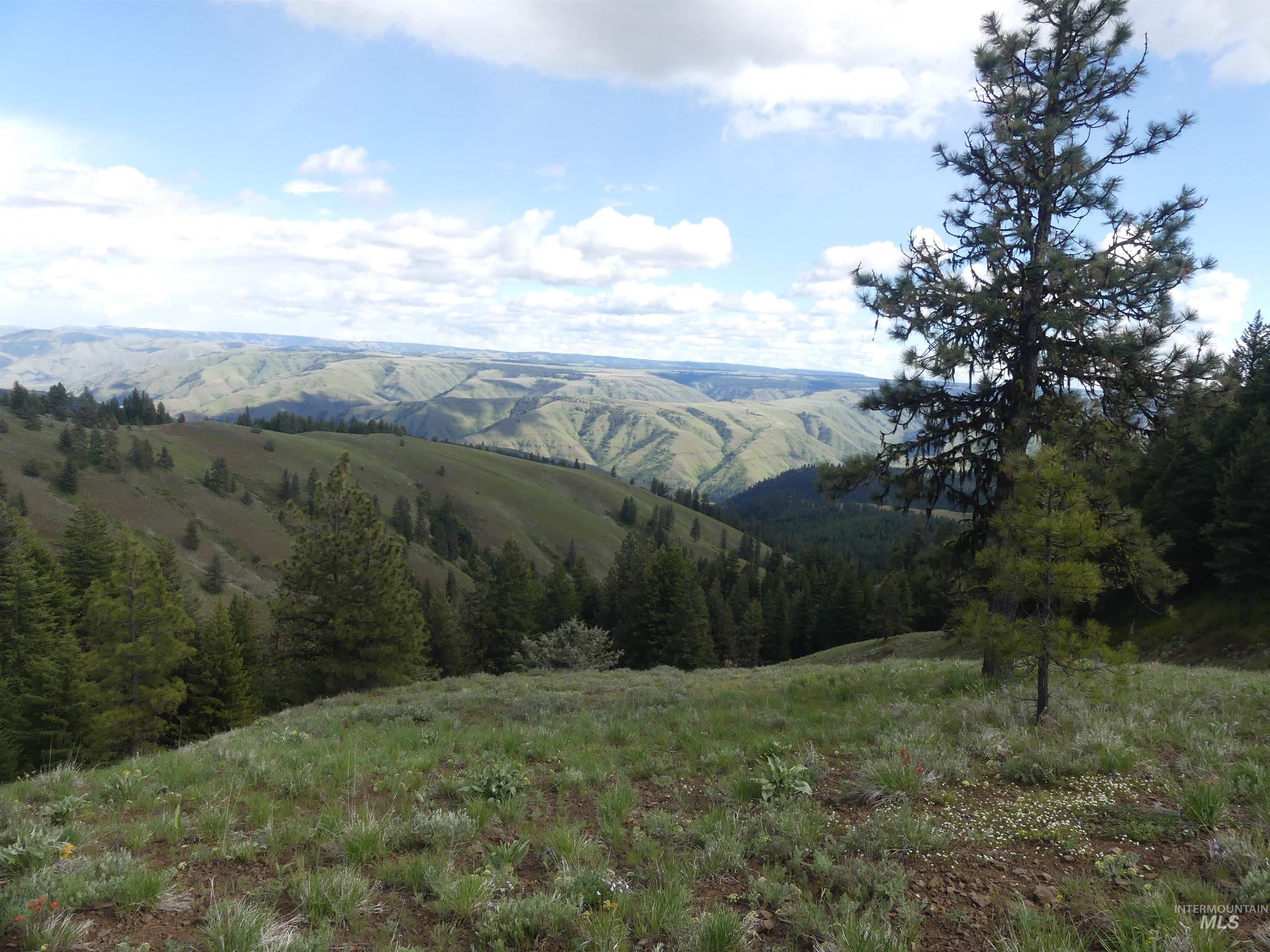 000 Hansen Ridge Road, Anatone, Washington 99401, Land For Sale, Price $350,000,MLS 98910830