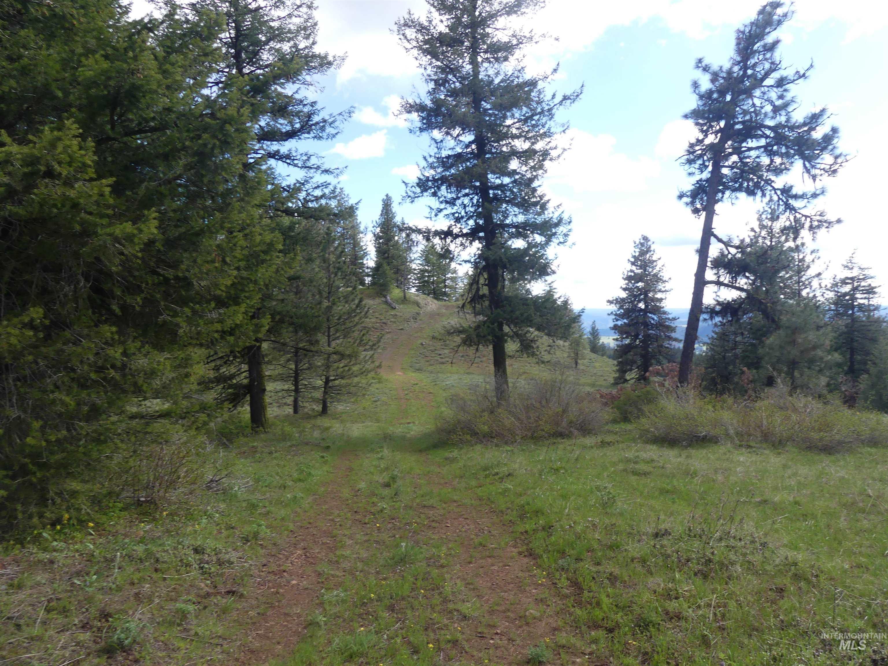 000 Hansen Ridge Road, Anatone, Washington 99401, Land For Sale, Price $350,000,MLS 98910830