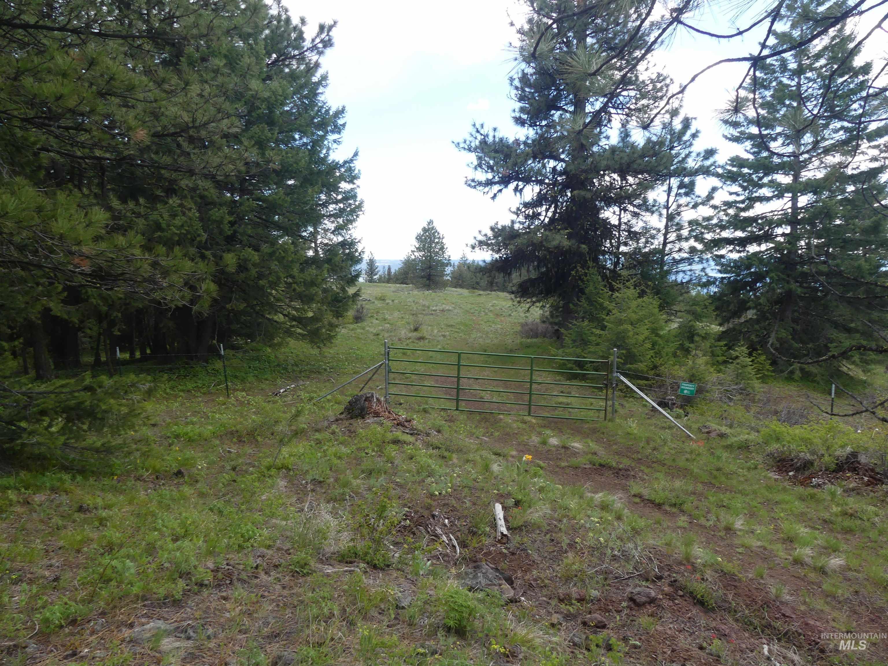 000 Hansen Ridge Road, Anatone, Washington 99401, Land For Sale, Price $350,000,MLS 98910830