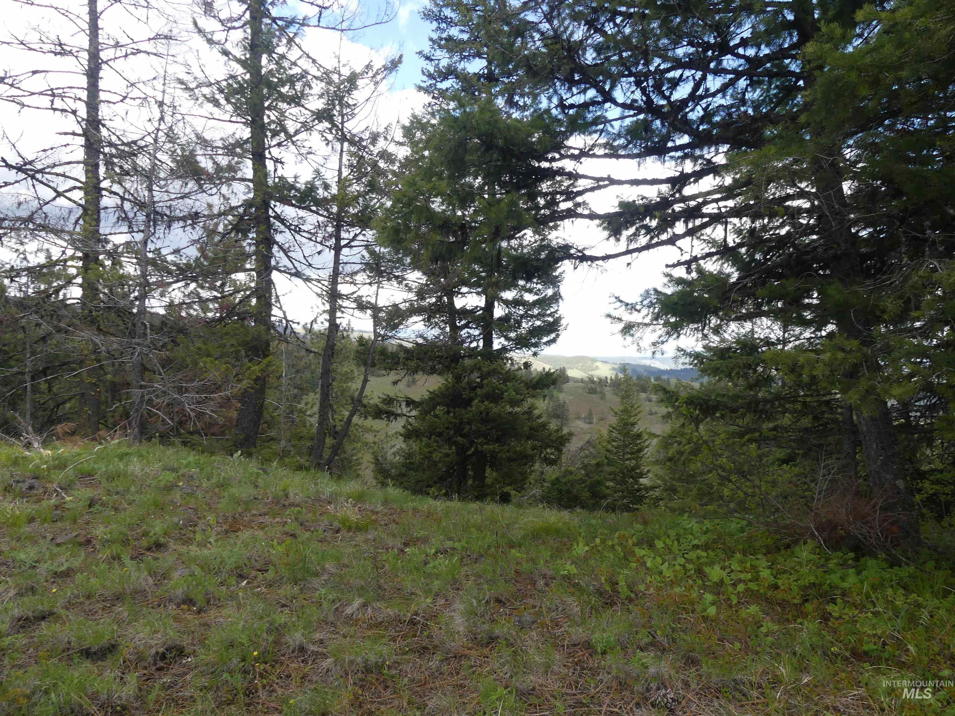 000 Hansen Ridge Road, Anatone, Washington 99401, Land For Sale, Price $350,000,MLS 98910830