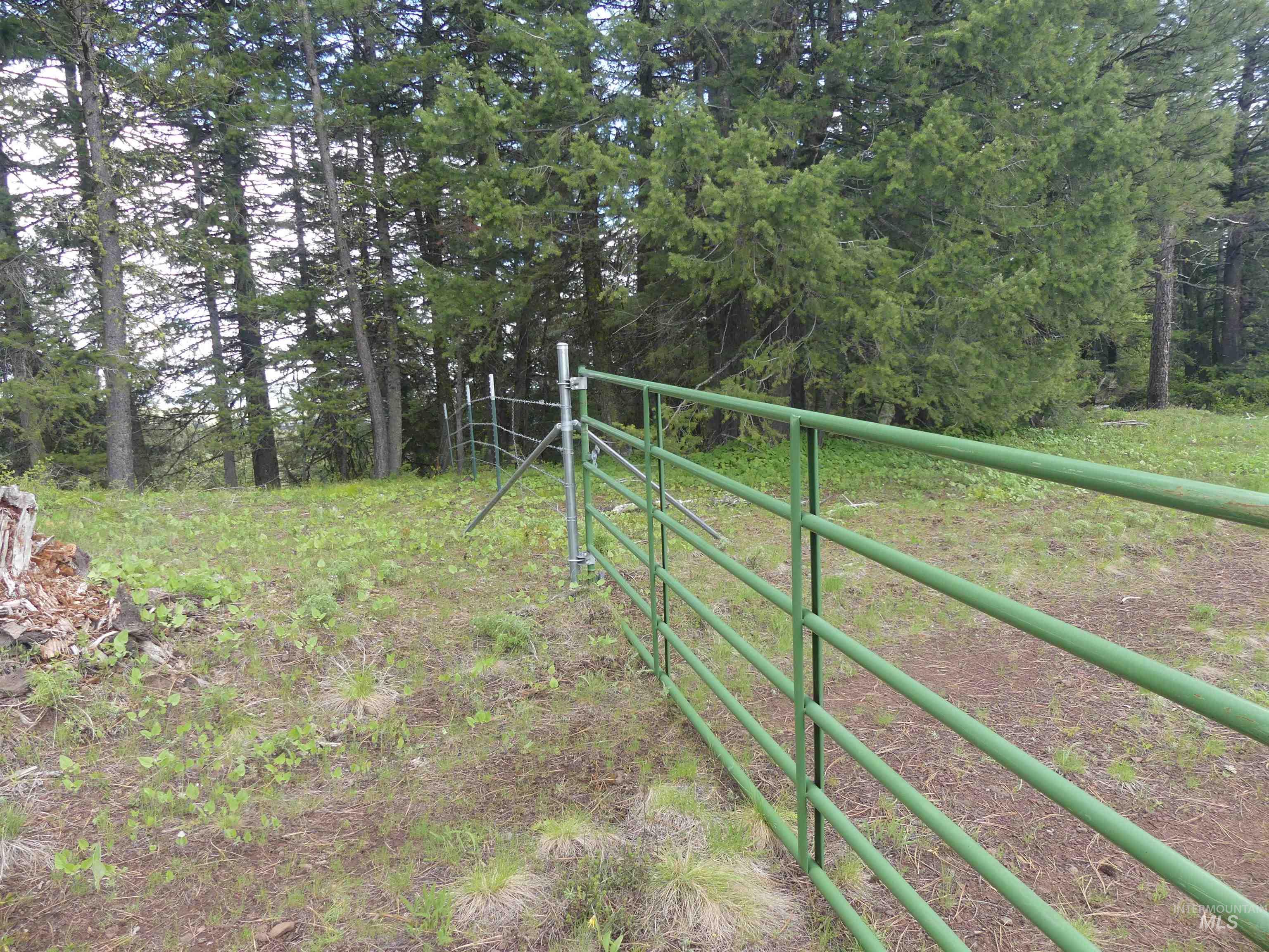 000 Hansen Ridge Road, Anatone, Washington 99401, Land For Sale, Price $350,000,MLS 98910830