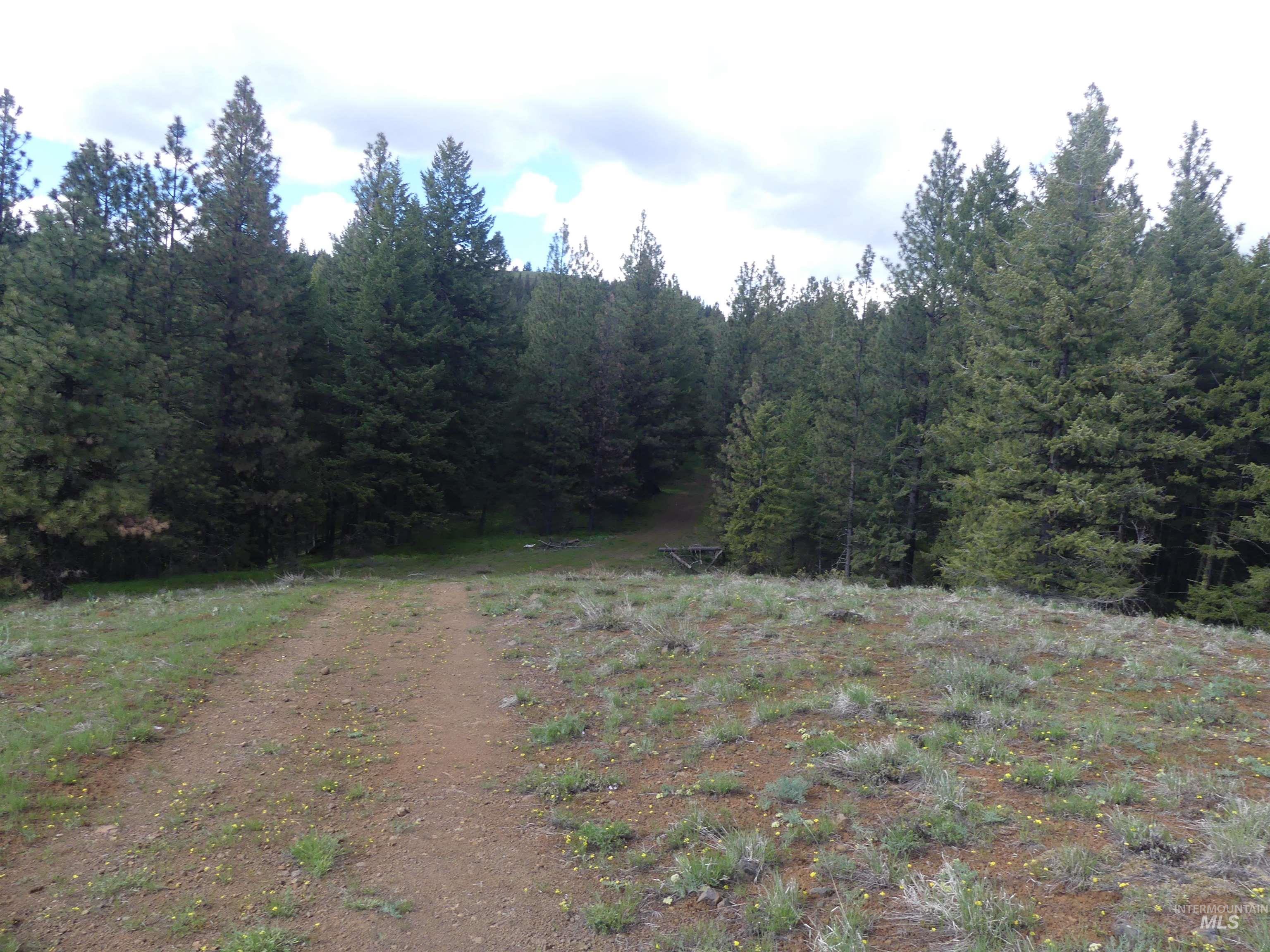 000 Hansen Ridge Road, Anatone, Washington 99401, Land For Sale, Price $350,000,MLS 98910830