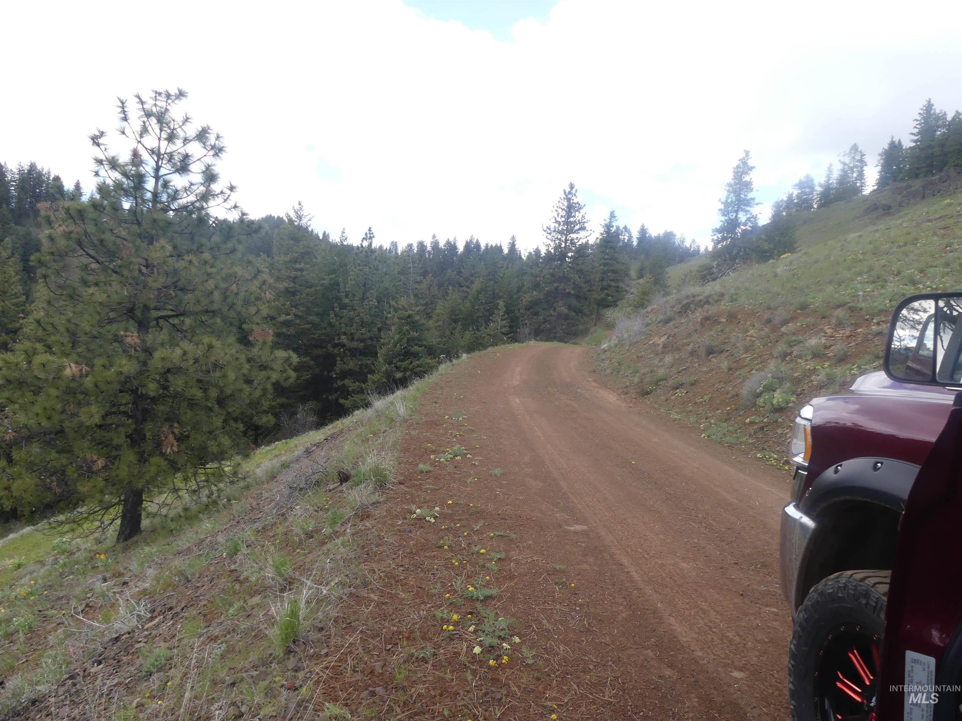 000 Hansen Ridge Road, Anatone, Washington 99401, Land For Sale, Price $350,000,MLS 98910830