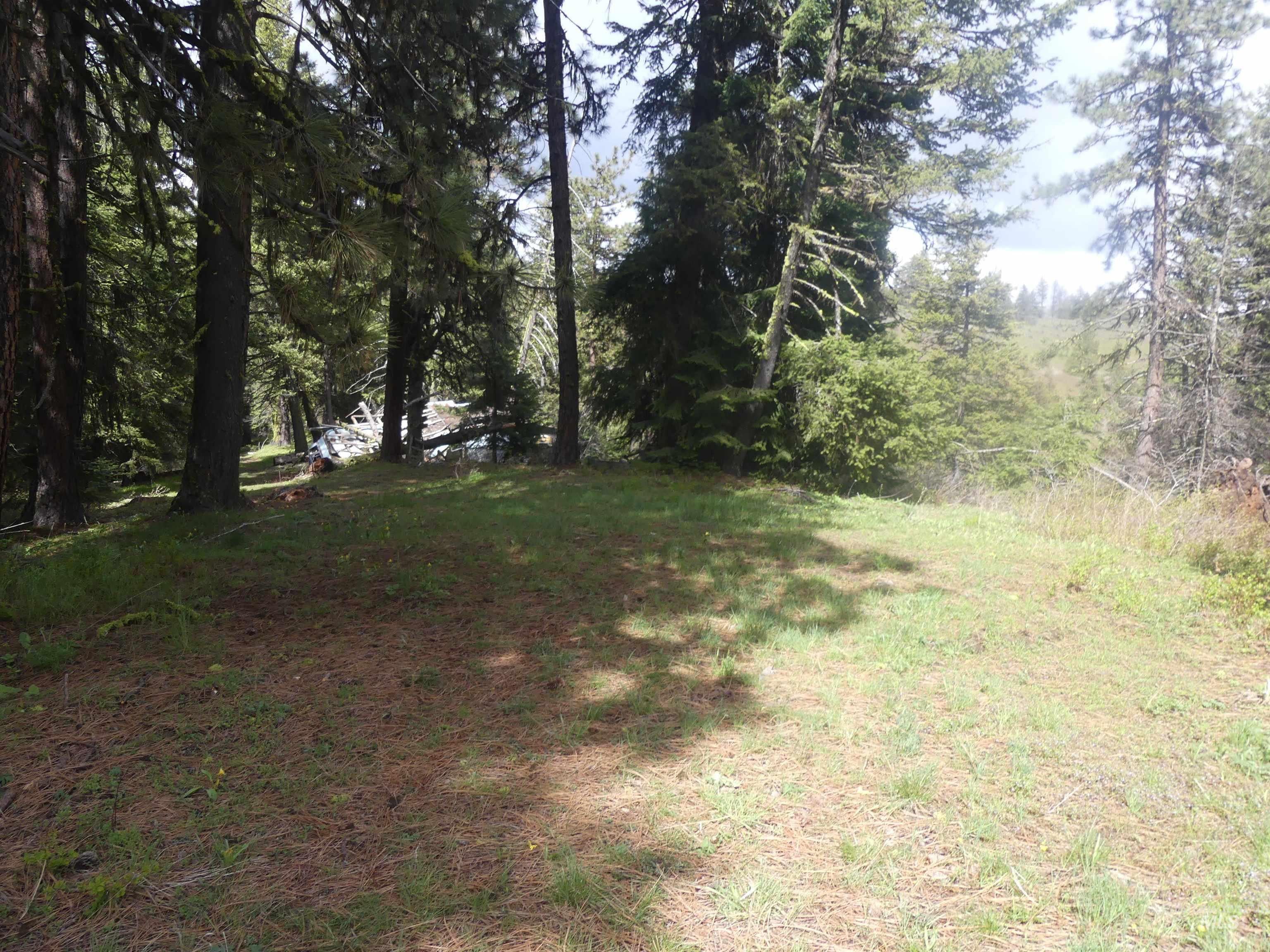 002 Hansen Ridge Road, Anatone, Washington 99401, Land For Sale, Price $200,000,MLS 98910831